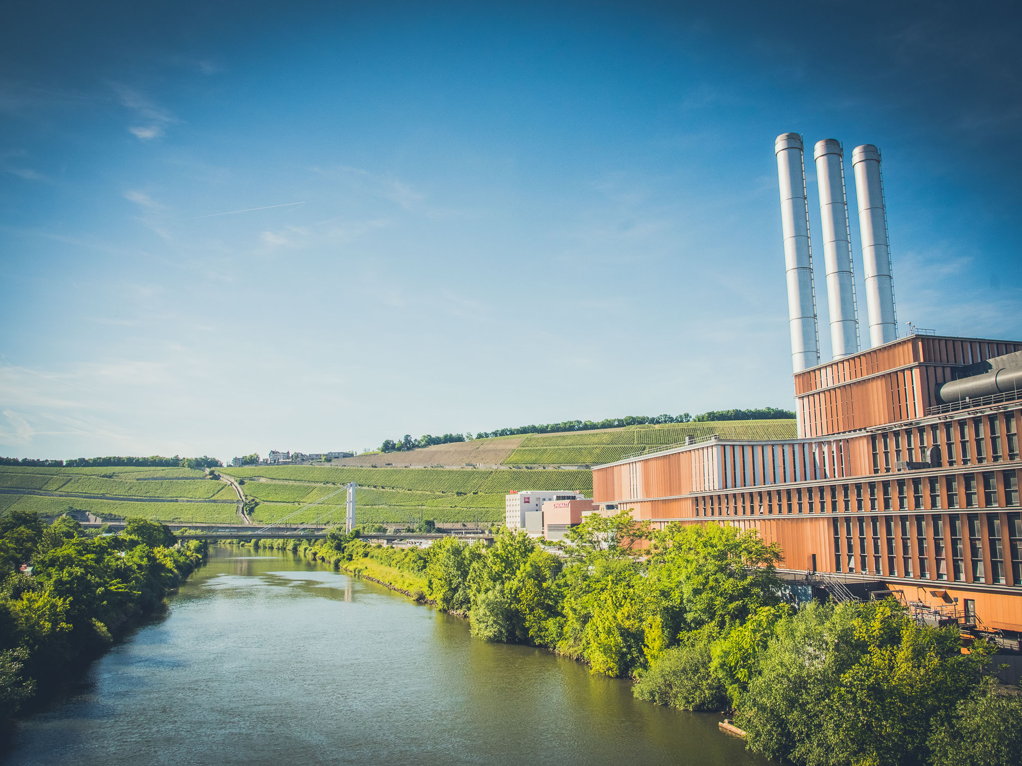Alter Hafen mit Blick auf die Steinburg in Würzburg. Foto: Pascal Höfig