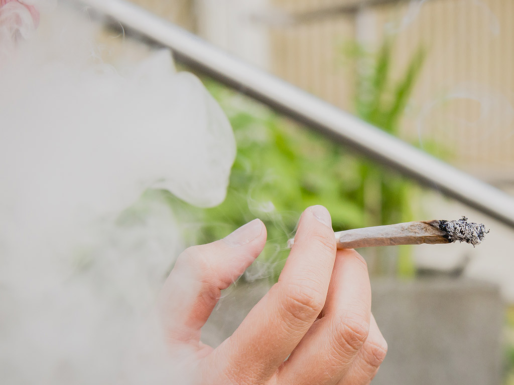 Kraueter_Cannabis_Haschisch_Marhiuana_Kiffen-5 Symbolbild Joint. Foto: Pascal Höfig