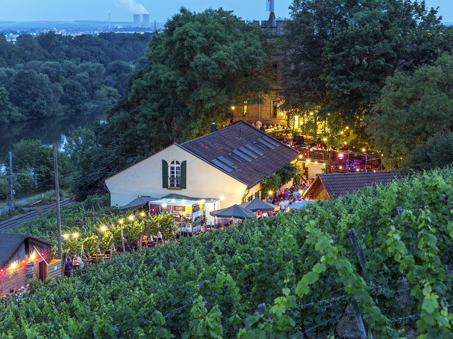Weingut_Dahms.jpg Weinfest an der Peterstirn. - Foto: maizucker