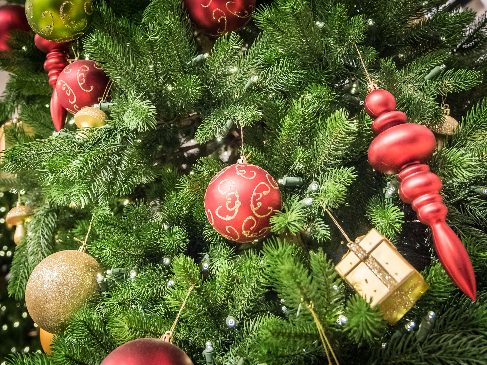 Weihnachten_Christbaum05 Christbaum. Foto: Pascal Höfig