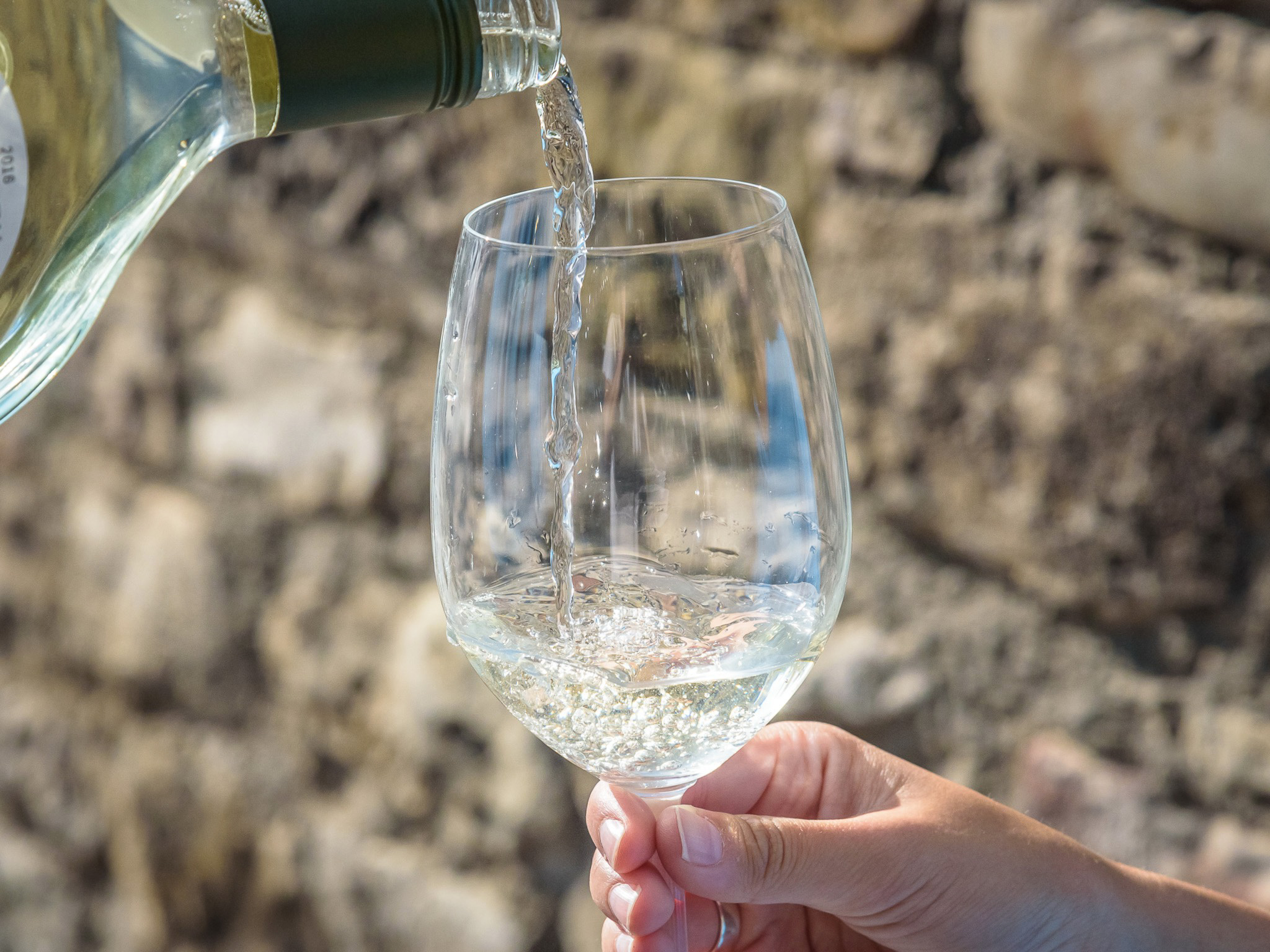 Wein trinken. Foto: Pascal Höfig