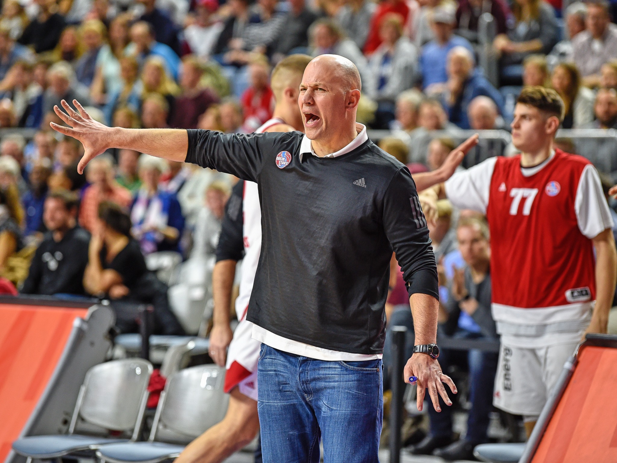 2. Basketball-Bundesliga ProA, Rheinstars Koeln vs. MLP Academics Heidelberg, 31.01.2018 Da geht's lang: Denis Wucherer wird neuer Head Coach bei s.Oliver Würzburg. Foto: Gero Müller-Laschet (RheinStars Köln).