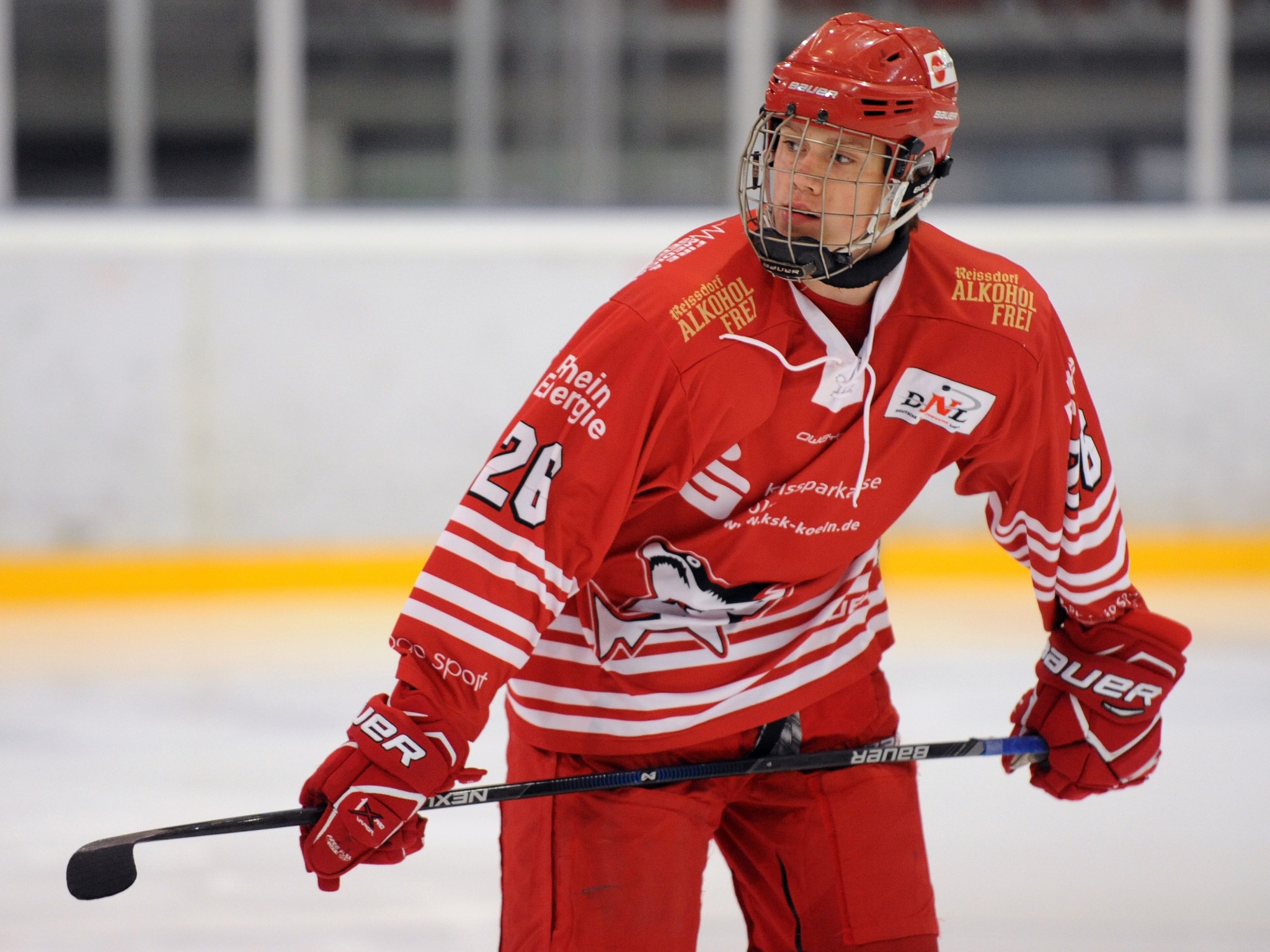 DominikBokk_Eishockey Dominic Bokk bei den Kölner Haien. Foto: Kölner Haie