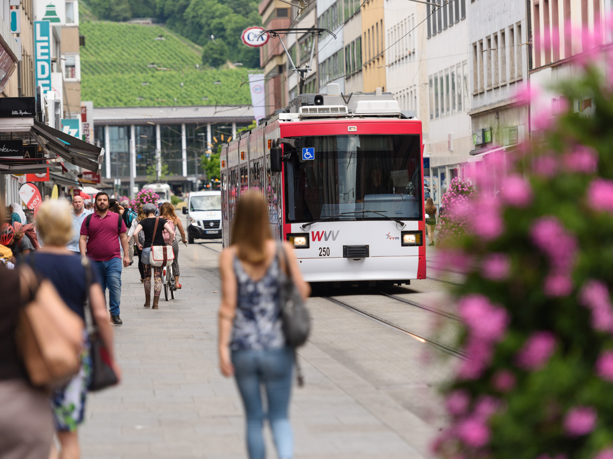 WVV Straßenbahn Straßenbahn in Würzburg. Foto: WVV