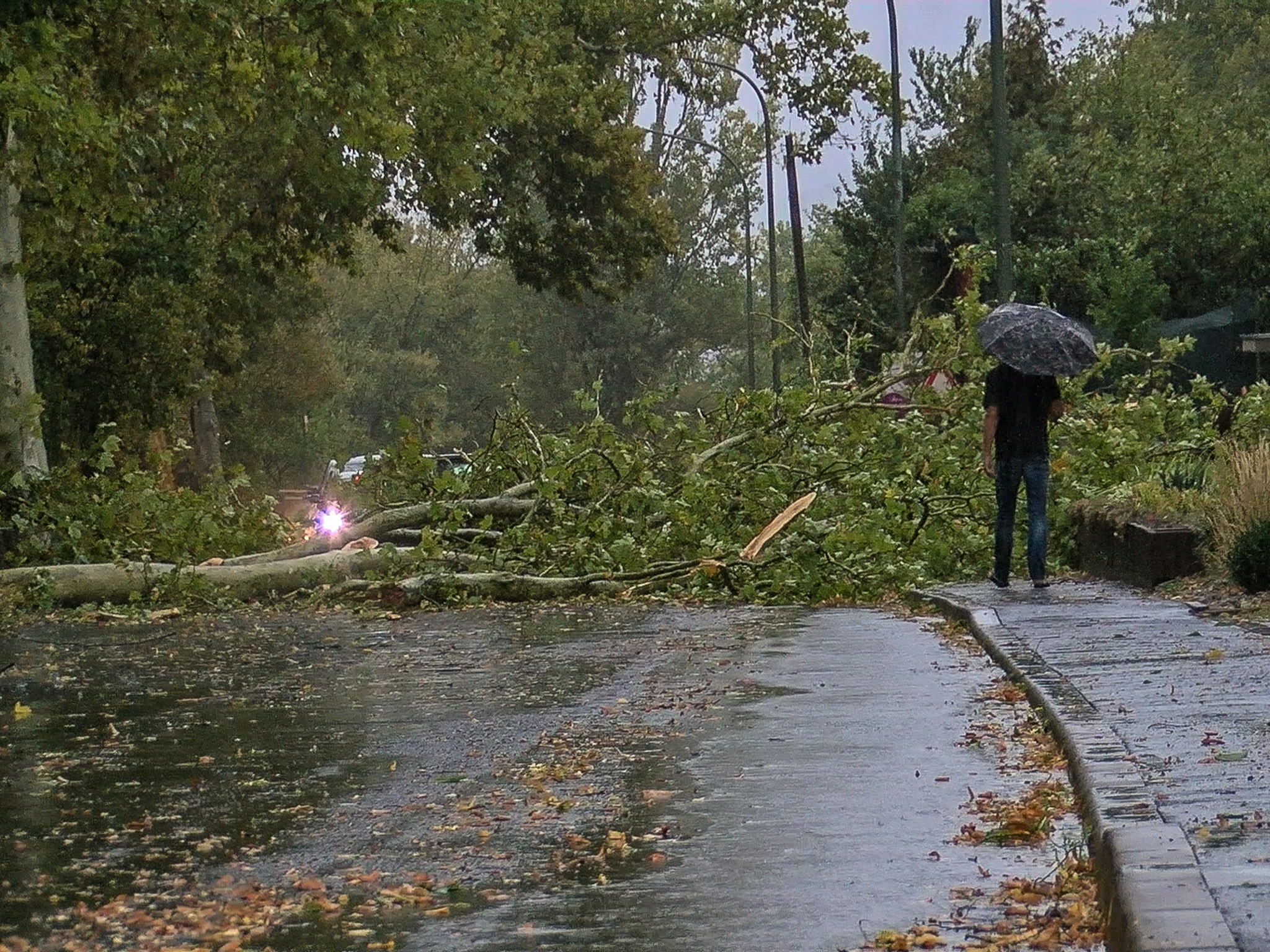 Sturm_Wuerzburg_001006 Die Leistenstraße in Würzburg. Foto: Pascal Höfig