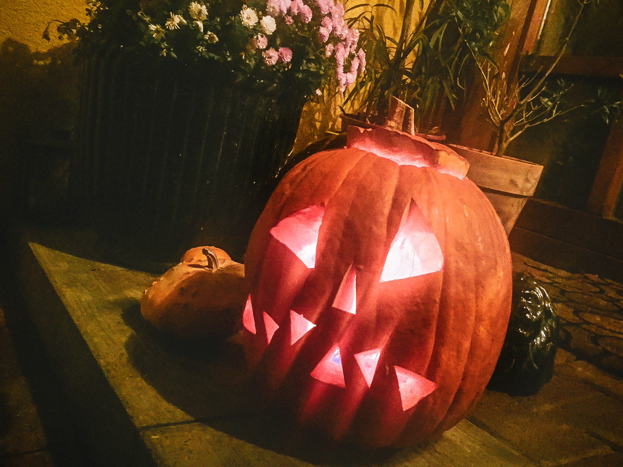 Kuerbis_Halloween Halloween. Symbolfoto: Pascal Höfig