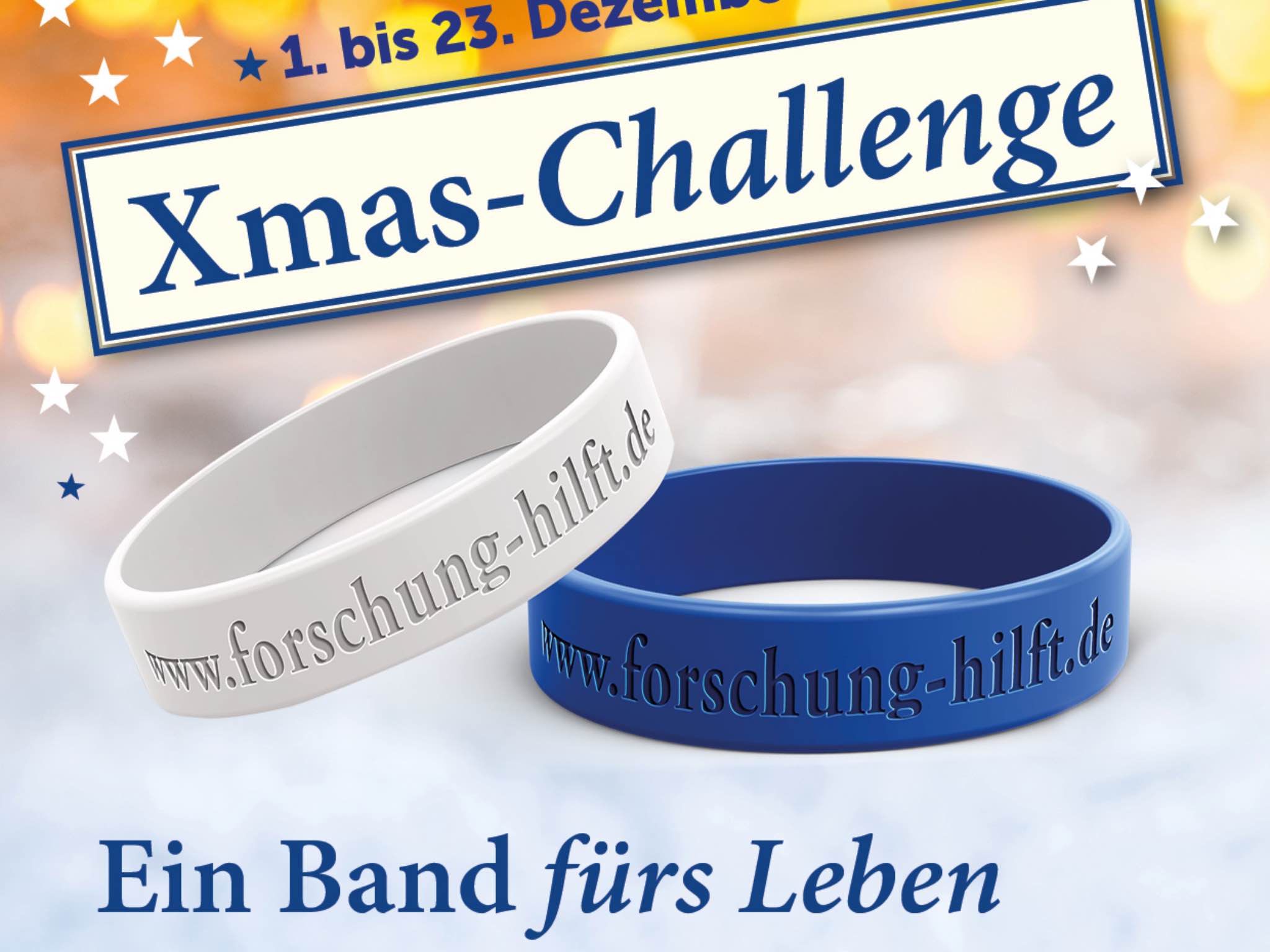 Die Xmas Challenge von Forschung versucht Spenden in der Weihnachtszeit zu gewinnen. Foto: Forschung hilft/Gabriele Nelkenstock