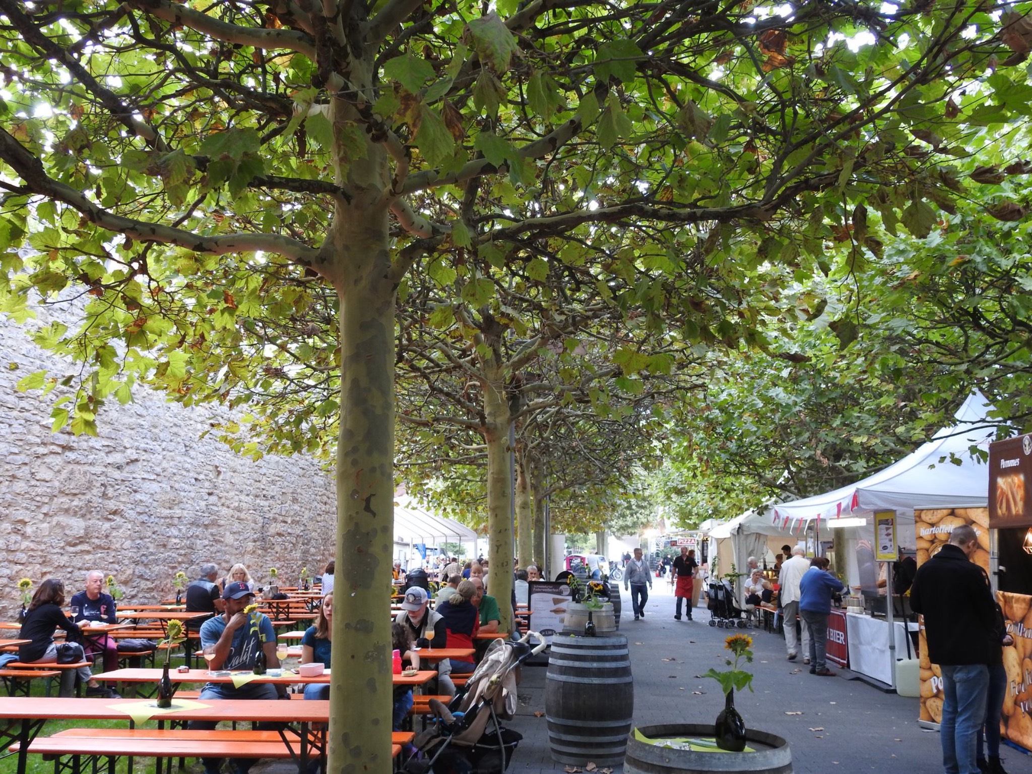 Federweißerfest an der Stadtmauer. Foto: Dirk Flieger