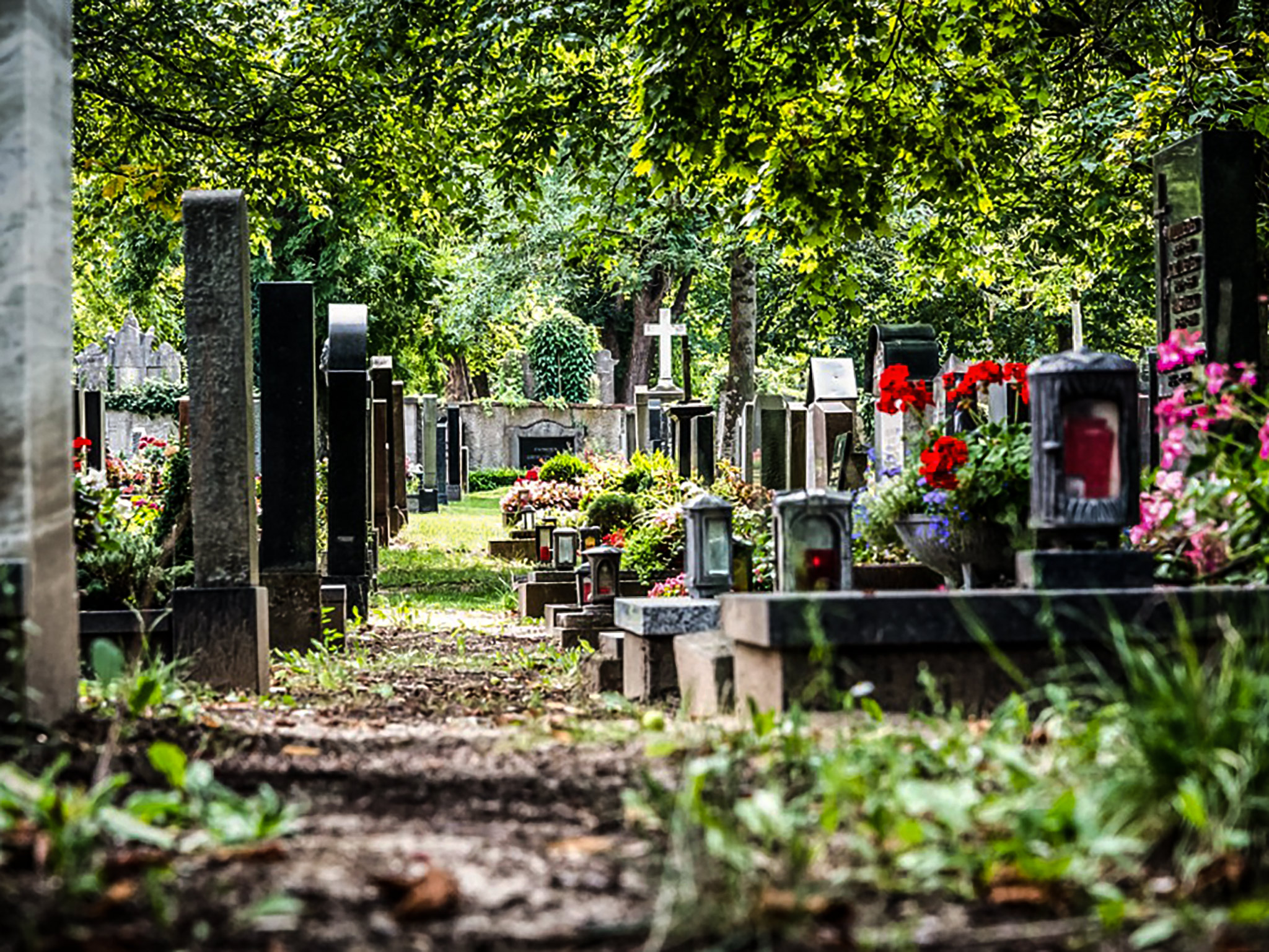 Friedhof_Grab_Tod_01 Grabsteine auf einem Friedhof. Symbolfoto: Pascal Höfig
