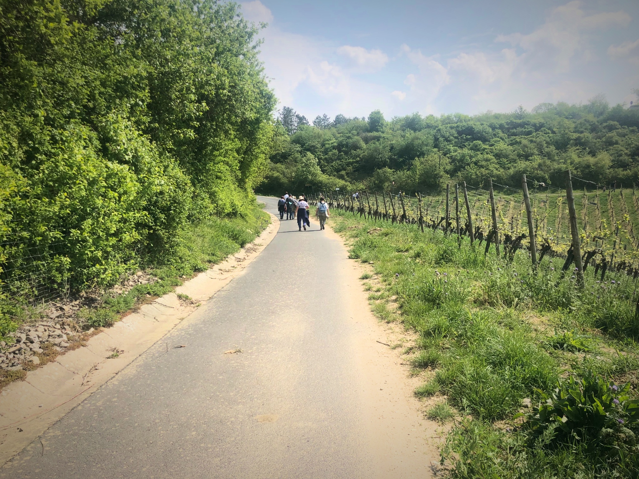 Wandern Wandern im Grünen. Foto: Melissa Schnabel