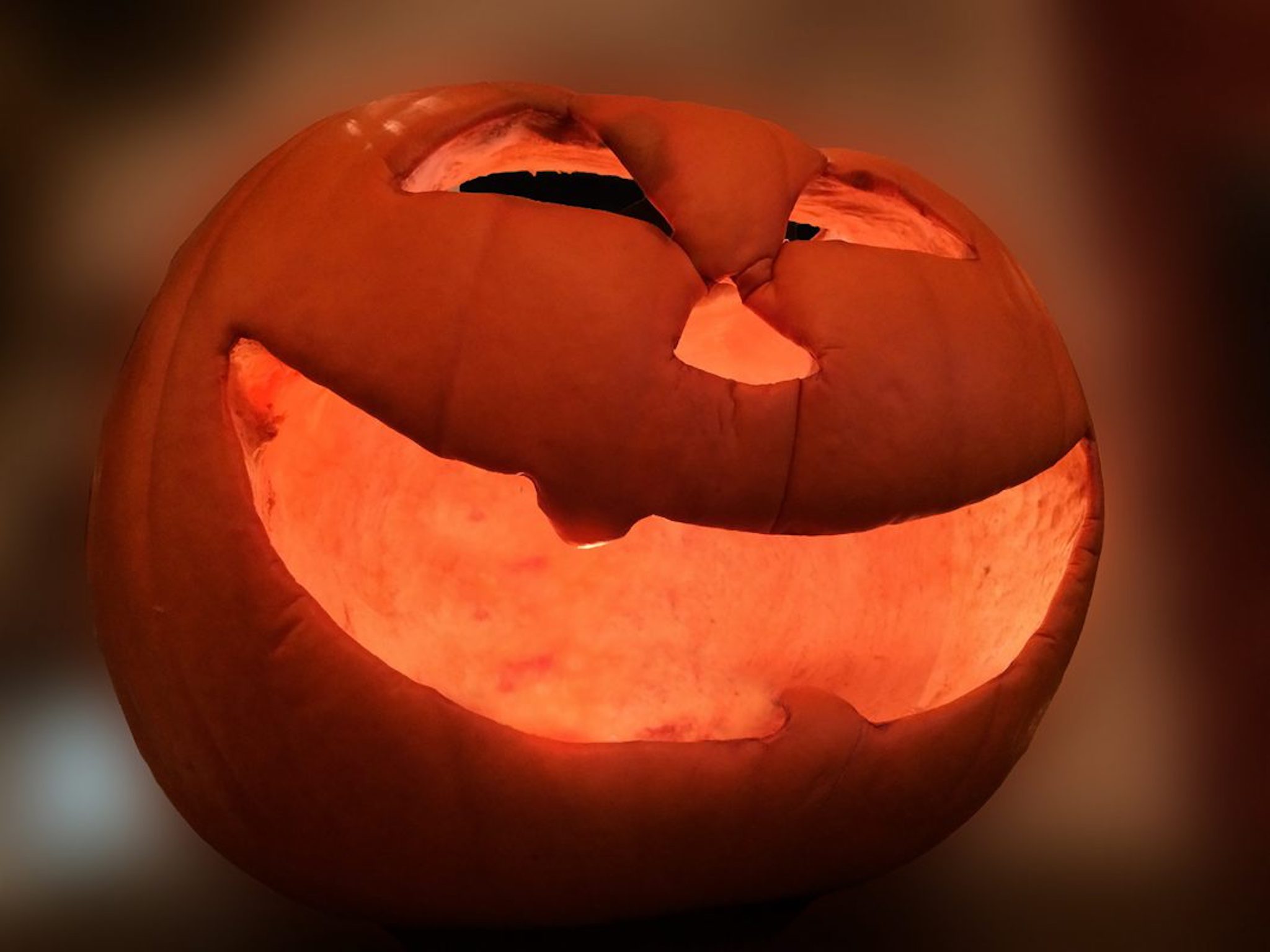 Halloween_Kuerbis Symbolbild Halloween. Foto: Pascal Höfig