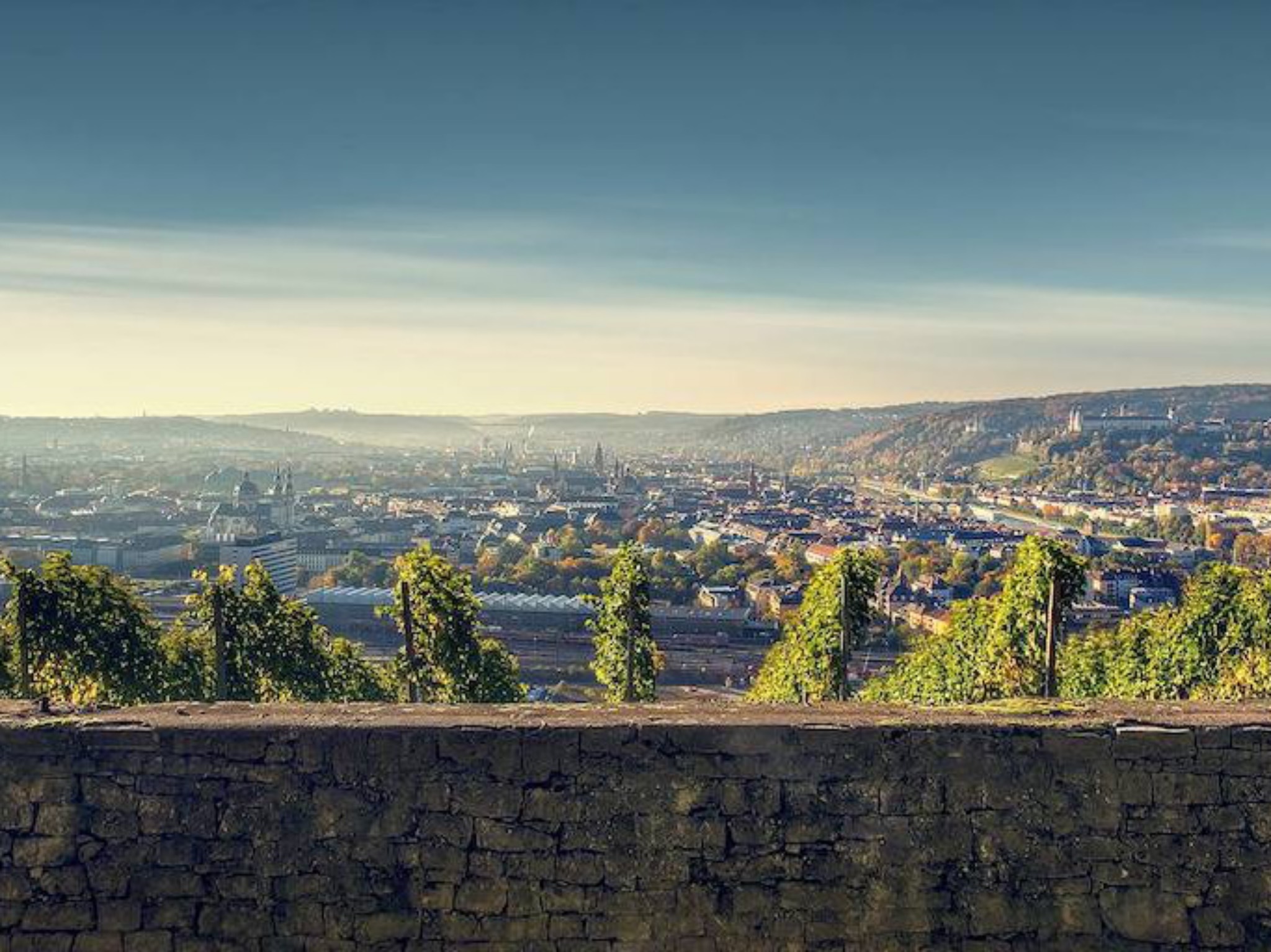 Blick auf Würzburg. Foto: Max Ziegler
