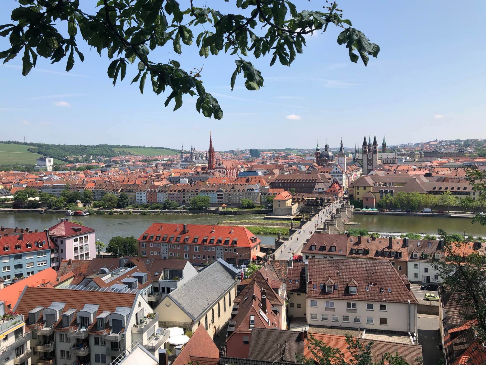Würzburg im Sommer erleben. Foto: Annika Betz