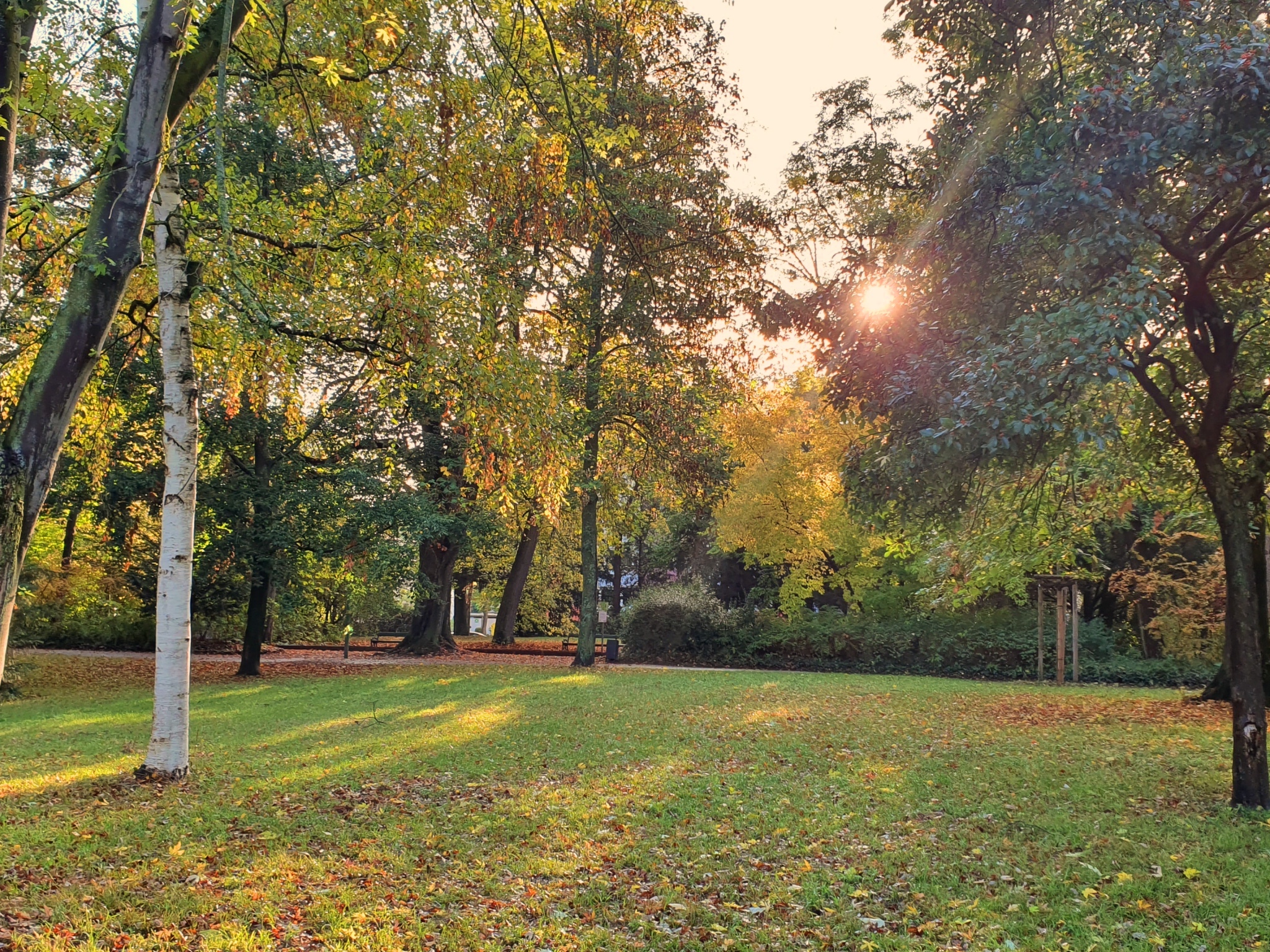 Ringpark im Herbst. Foto: Jessica Hänse