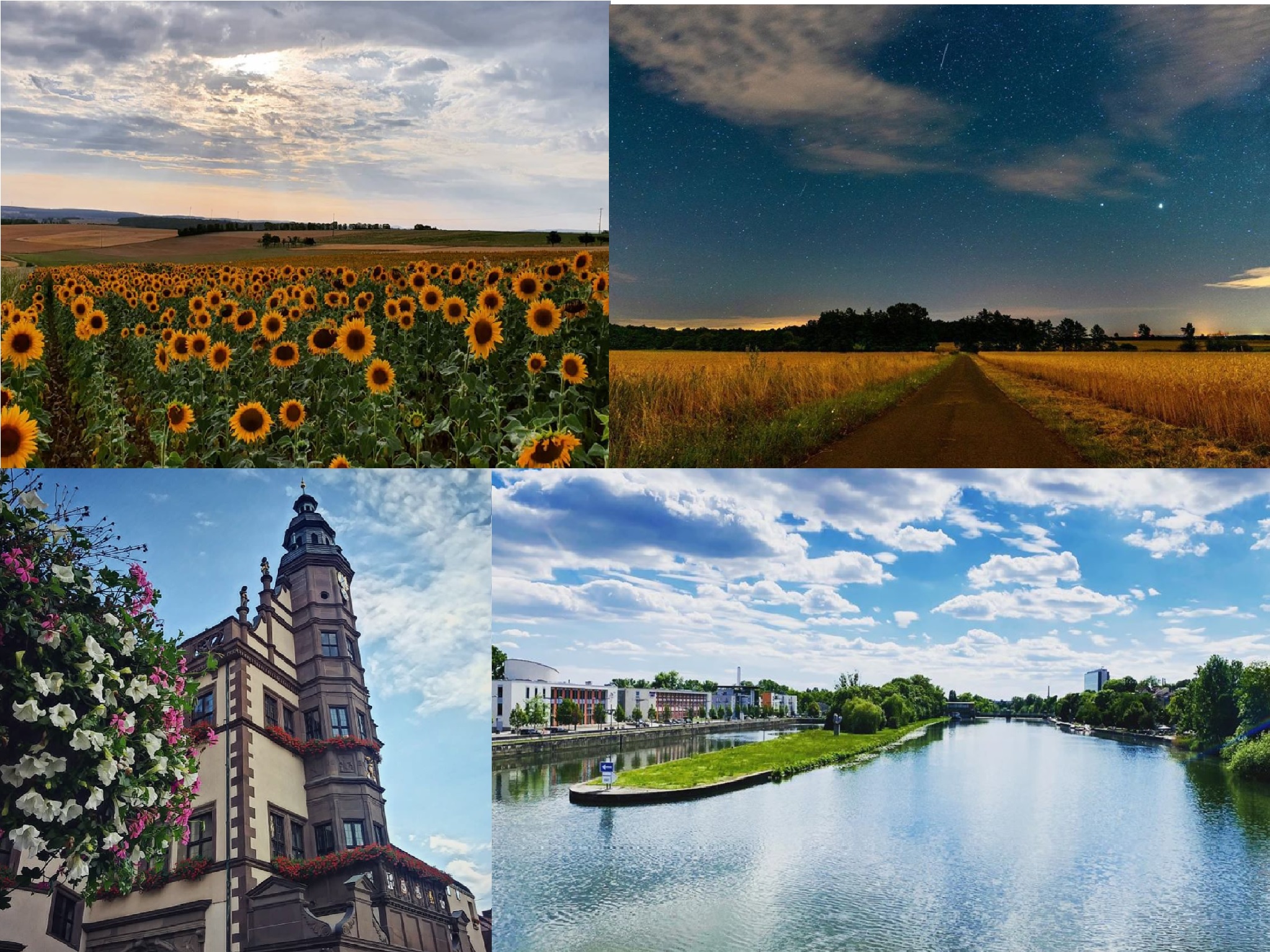 schweinfurtcity_Sommerbestofs So schön kann der Sommer auf Instagram sein! Fotos: @terry_lein9, @hg_fotographi3, @pig_city_art, @mario_fotografie