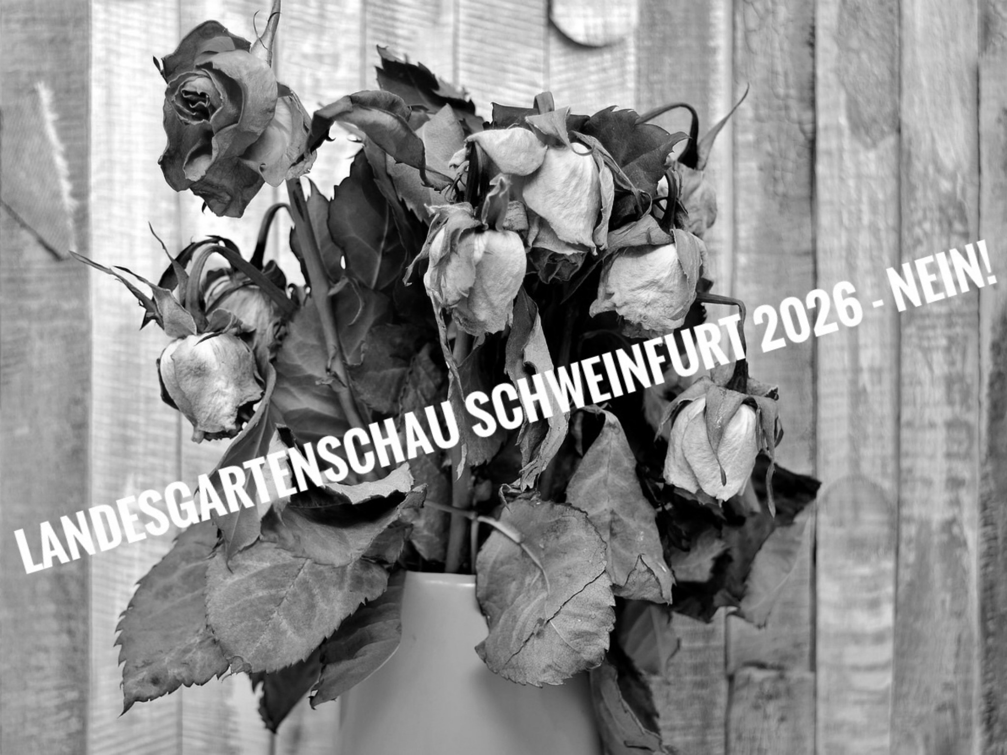 Zu hohes finanzielles Risiko zu Zeiten der Pandemie: Die Gegner einer Landesgartenschau 2026 in Schweinfurt formieren sich zu einer Bürgerinitiative gegen das städtische Großprojekt. Foto: BI
