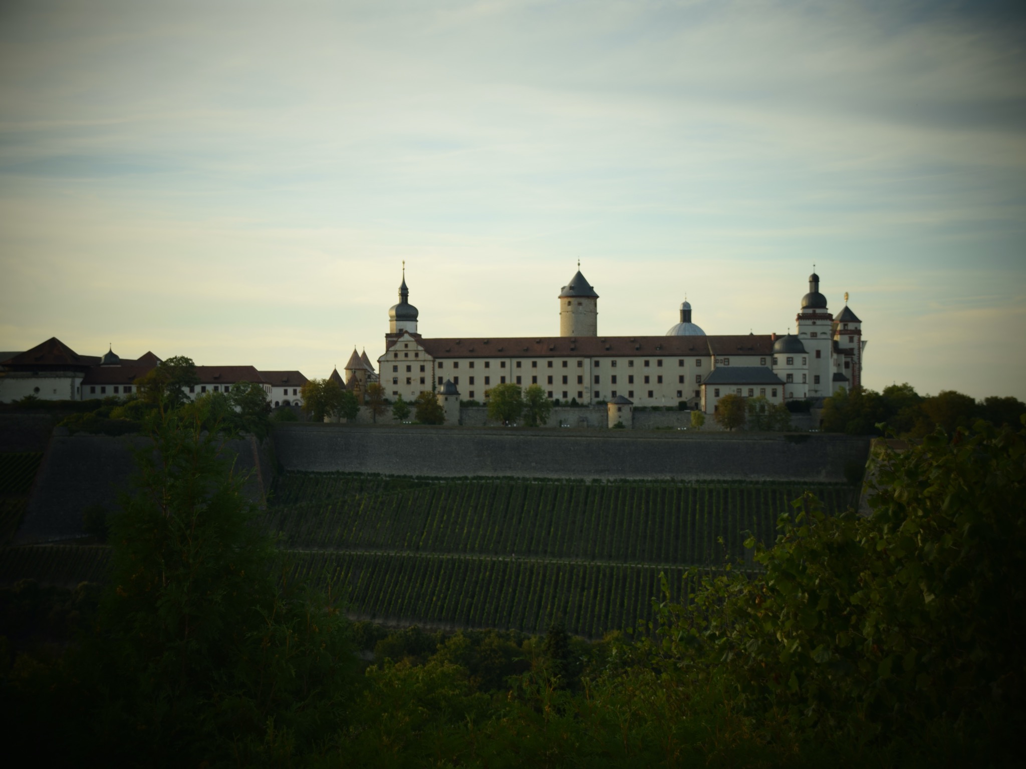 Festung Marienberg im Sommer. Foto: Katharina Kraus