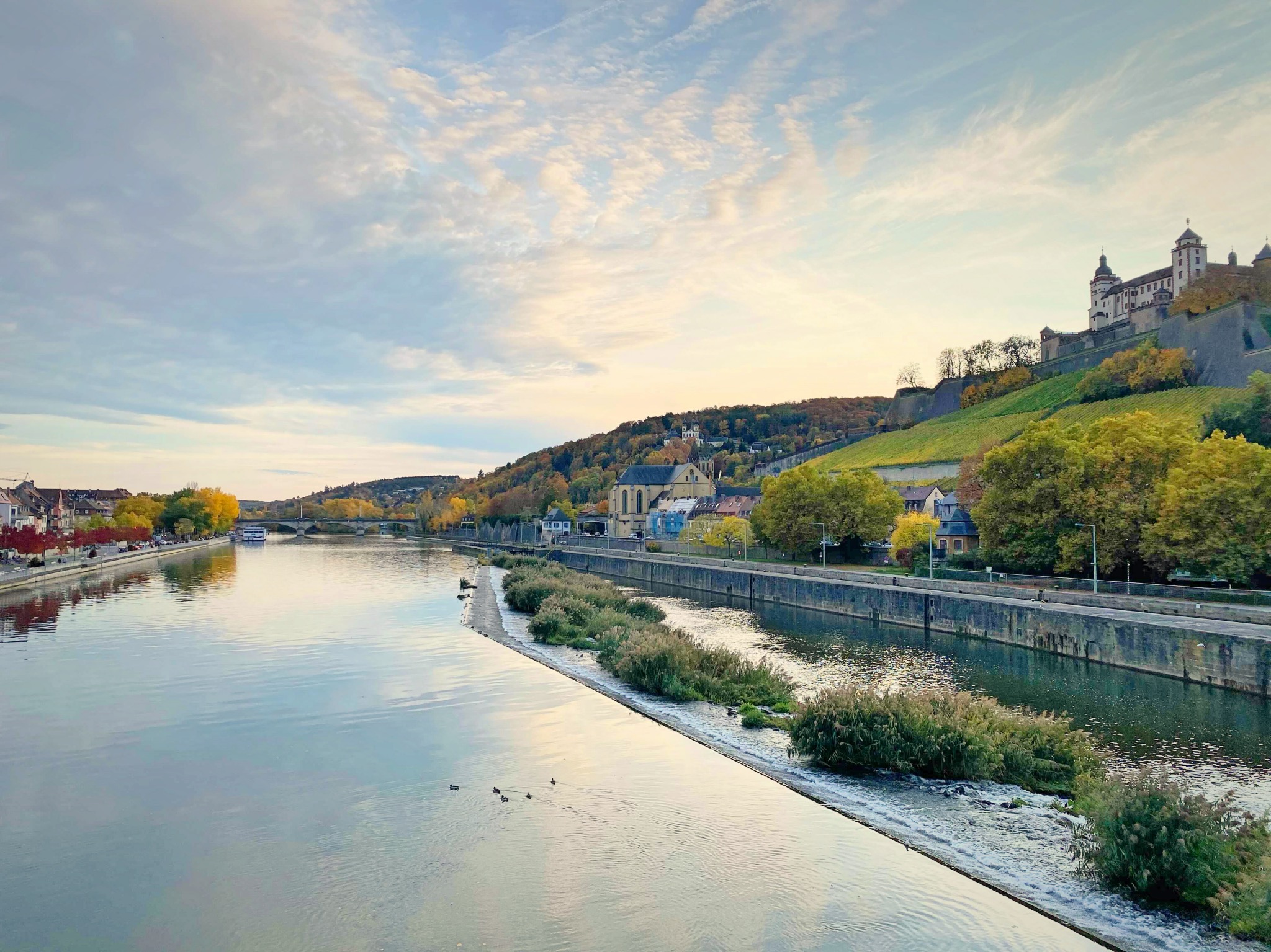 Herbst_Würzburg Symbolbild Herbst in Würzburg. Foto: Jessica Hänse