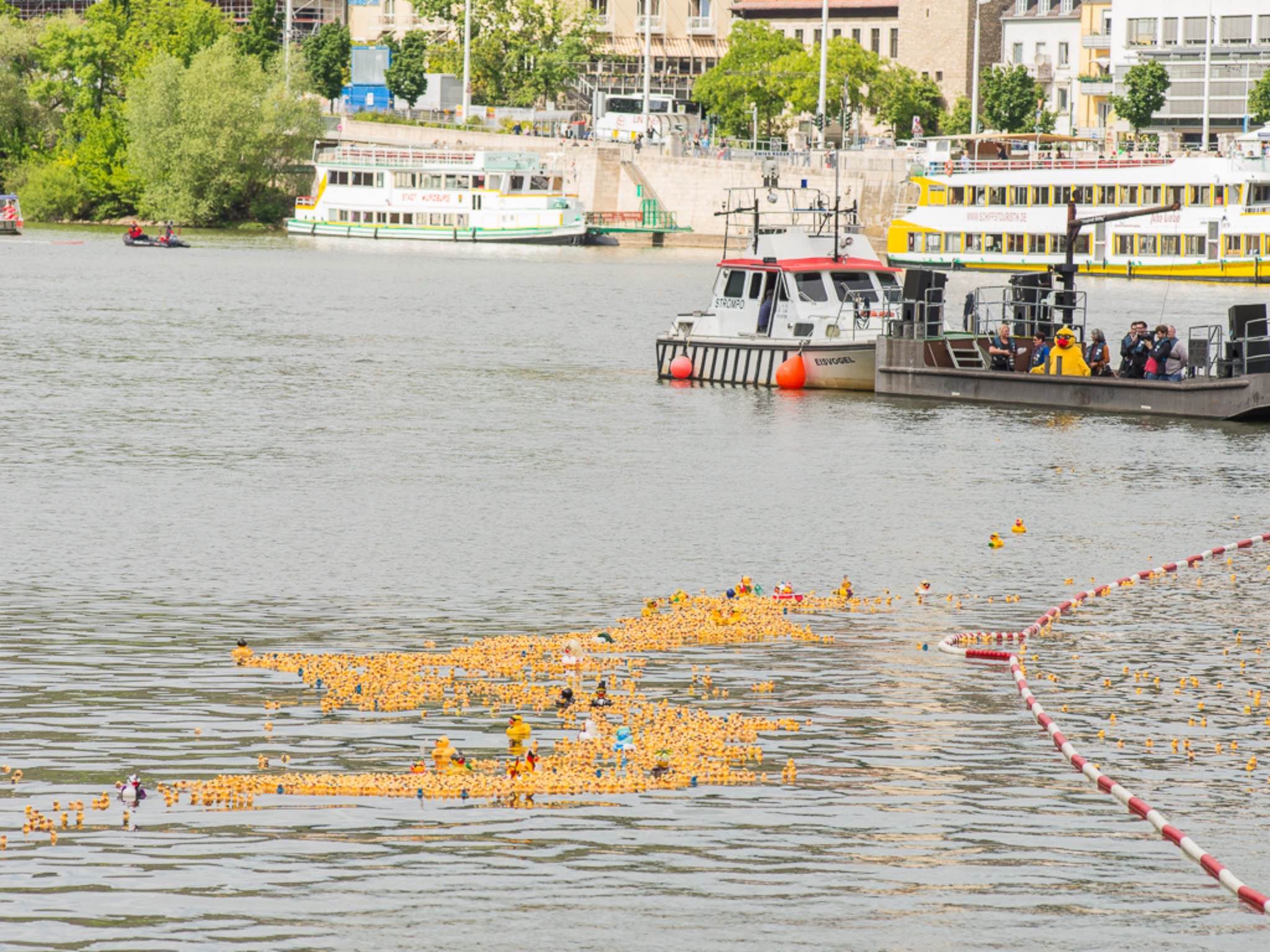 Entenrennen2014 Dieses Jahr muss man leider auf das Wildwasser Entenrennen verzichten. Foto: Pascal Höfig