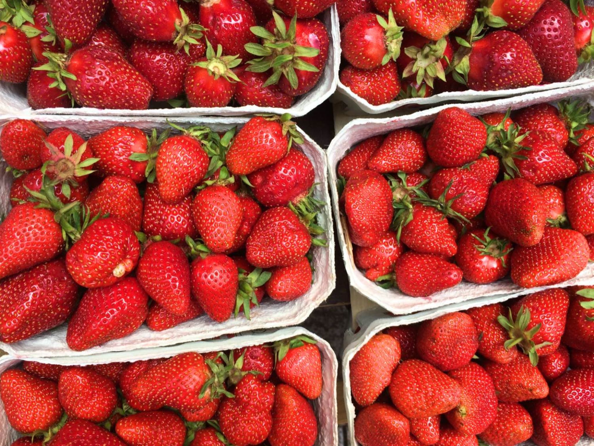 Erdbeeren_Symbol Frische regionale Erdbeeren. Symbolfoto: Melissa Schnabel