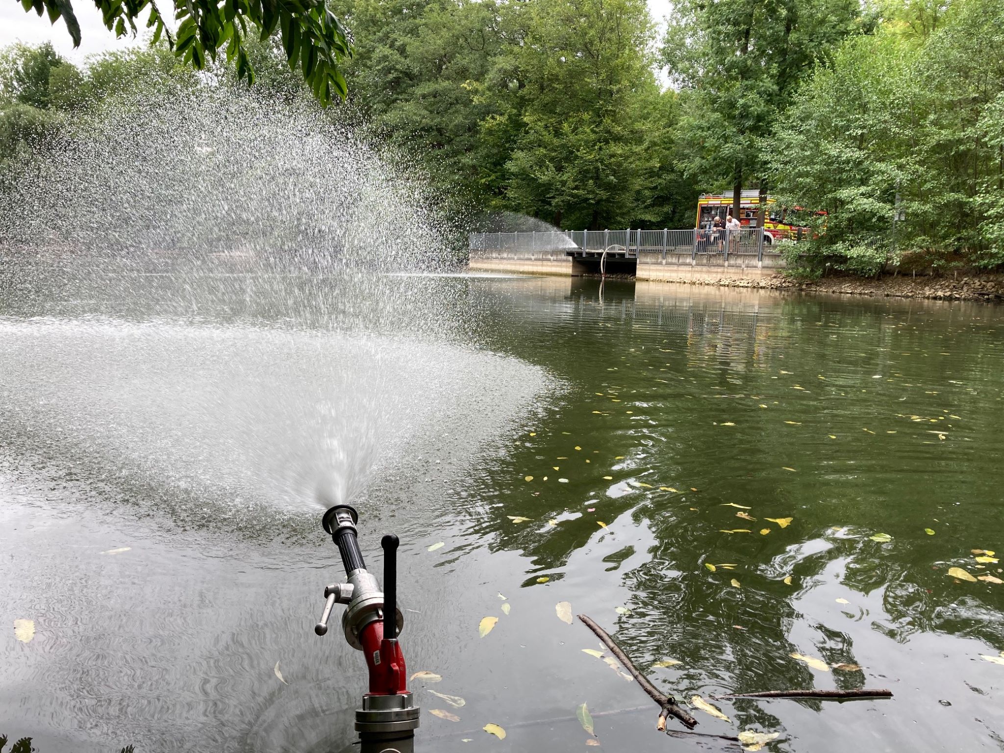 Fische1 Tierrettung in der Lindleinsmühle. Foto: Amt für Zivil- und Brandschutz Berufsfeuerwehr
