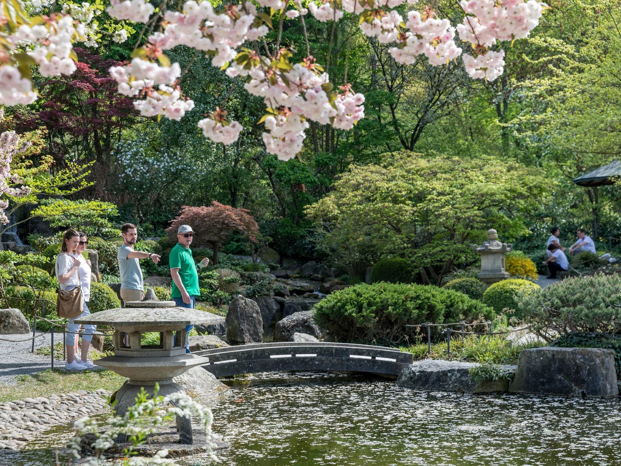 JapanischerGarten_Wue Der Japanische Garten ist als Ruheoase mitten im Würzburger Großstadtdschungel schon lange kein Geheimtipp mehr. Foto: Patty Varasano