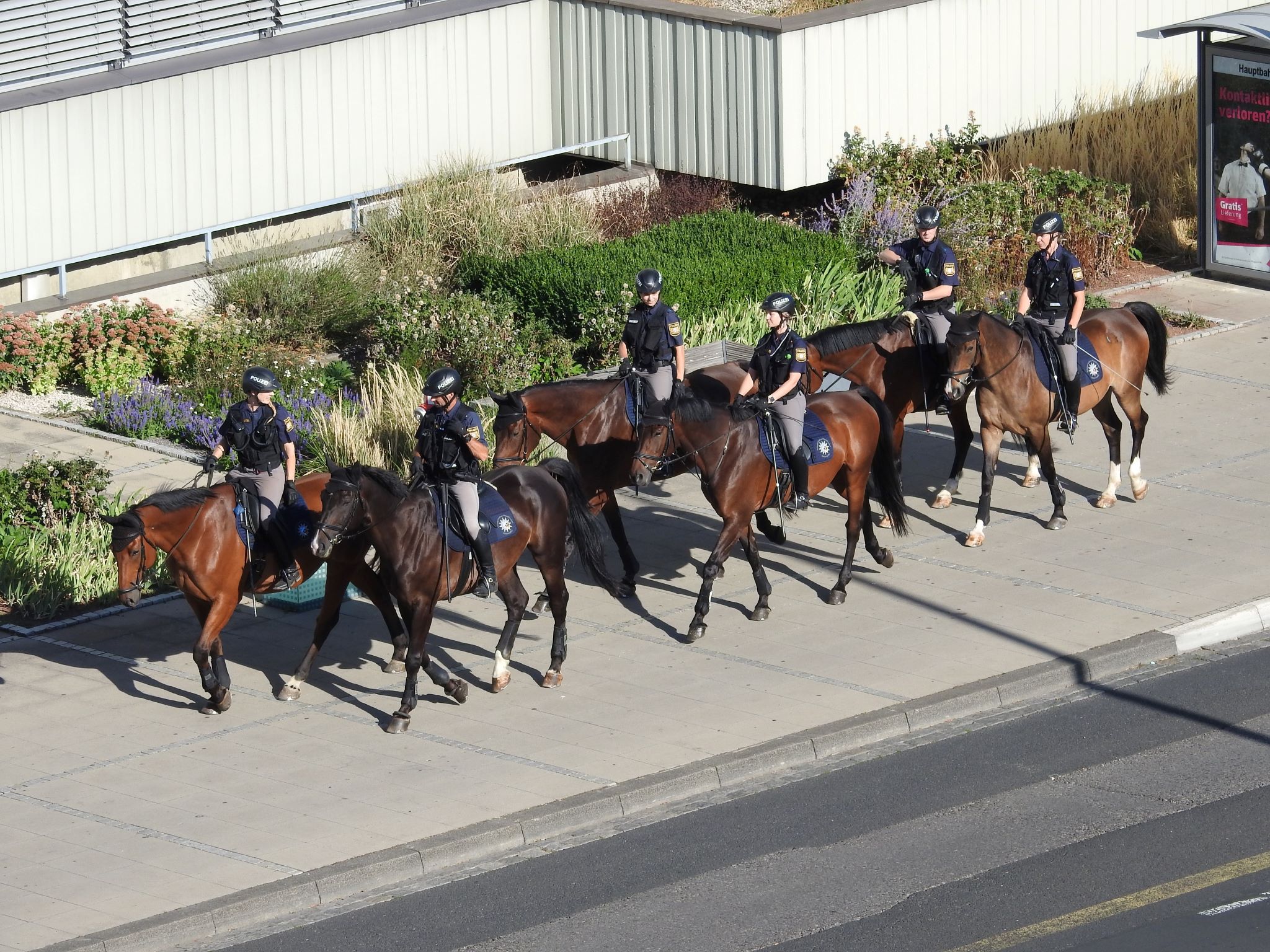 Die Reiterstaffel der Polizei. Foto: Dirk Flieger