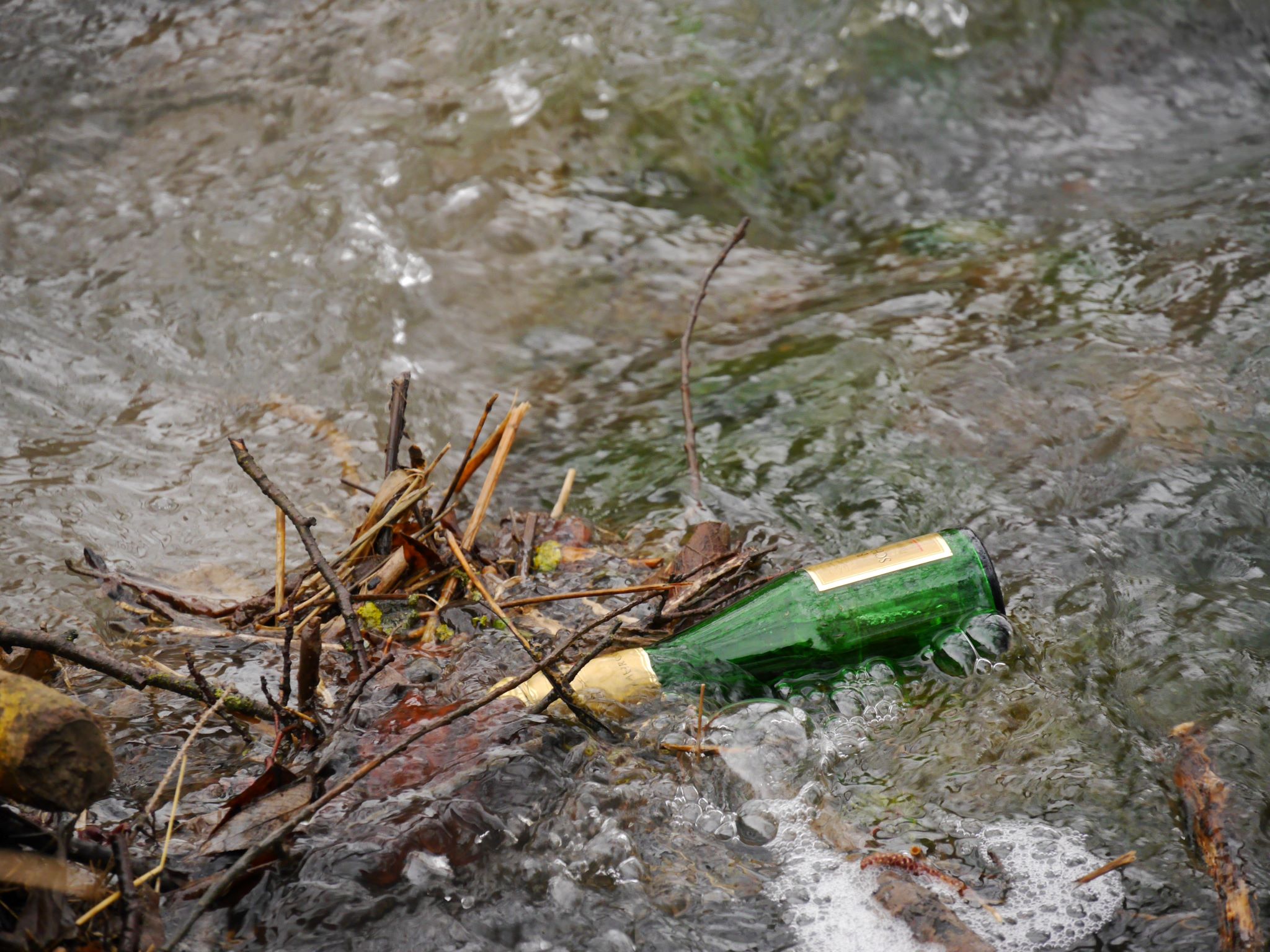 Littering_Glasflasche_CleanUp Beim Beach-CleanUp werden Main und die Mainufer vom Müll befreit. Foto: Jakob Sänger
