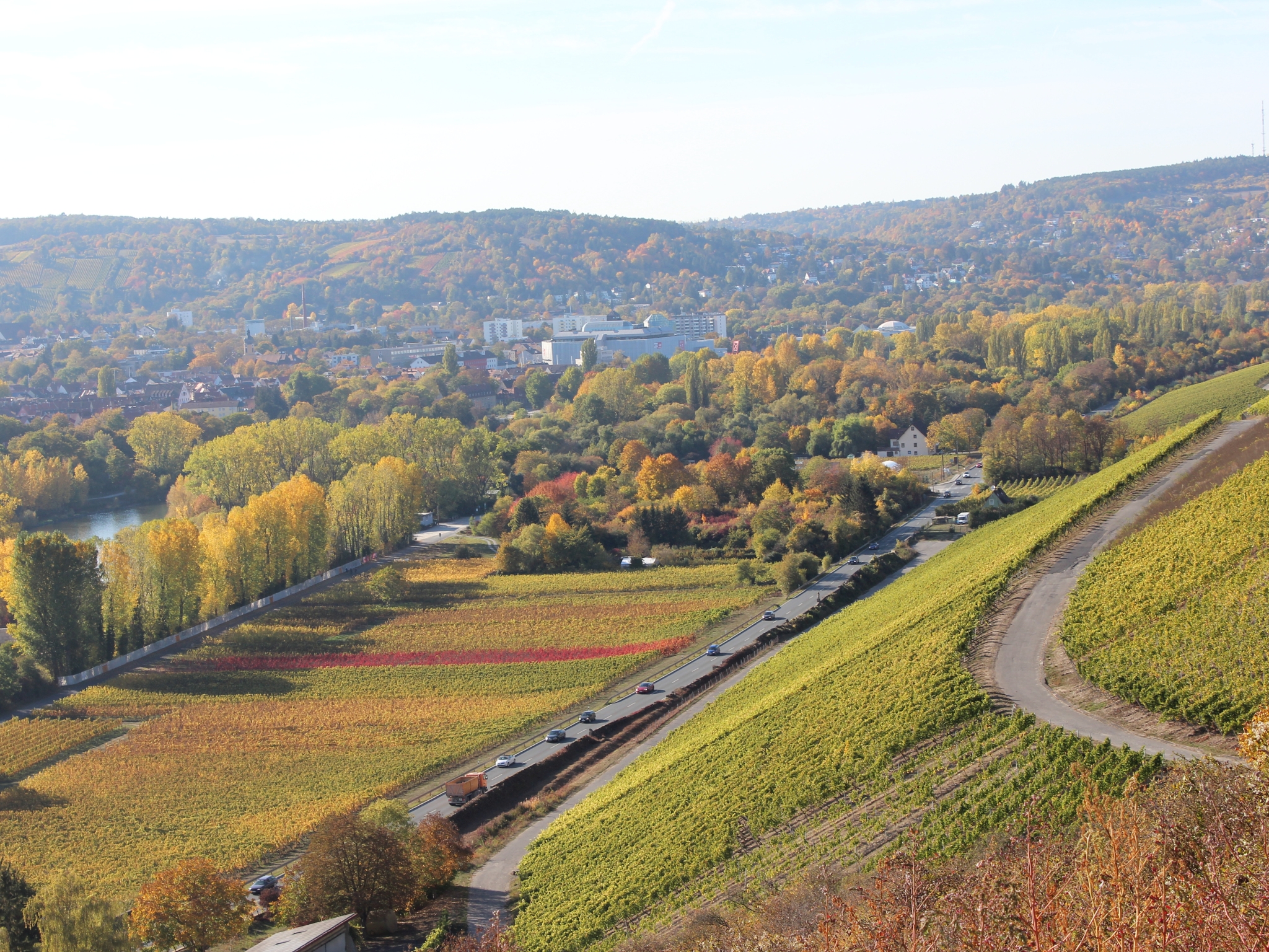 Weinberge