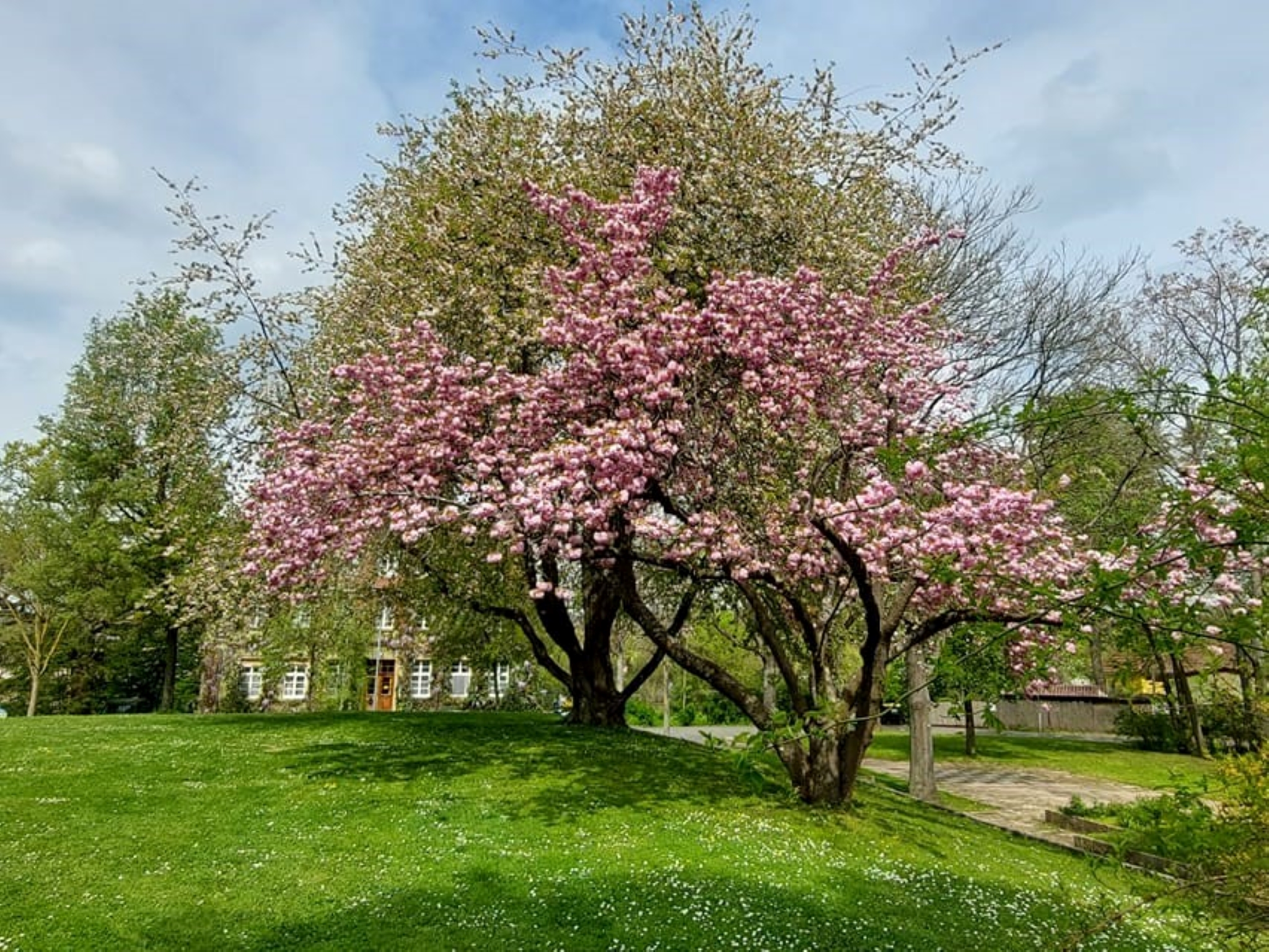 Die Wehranlagen im Frühling. Foto: Pauline Panther