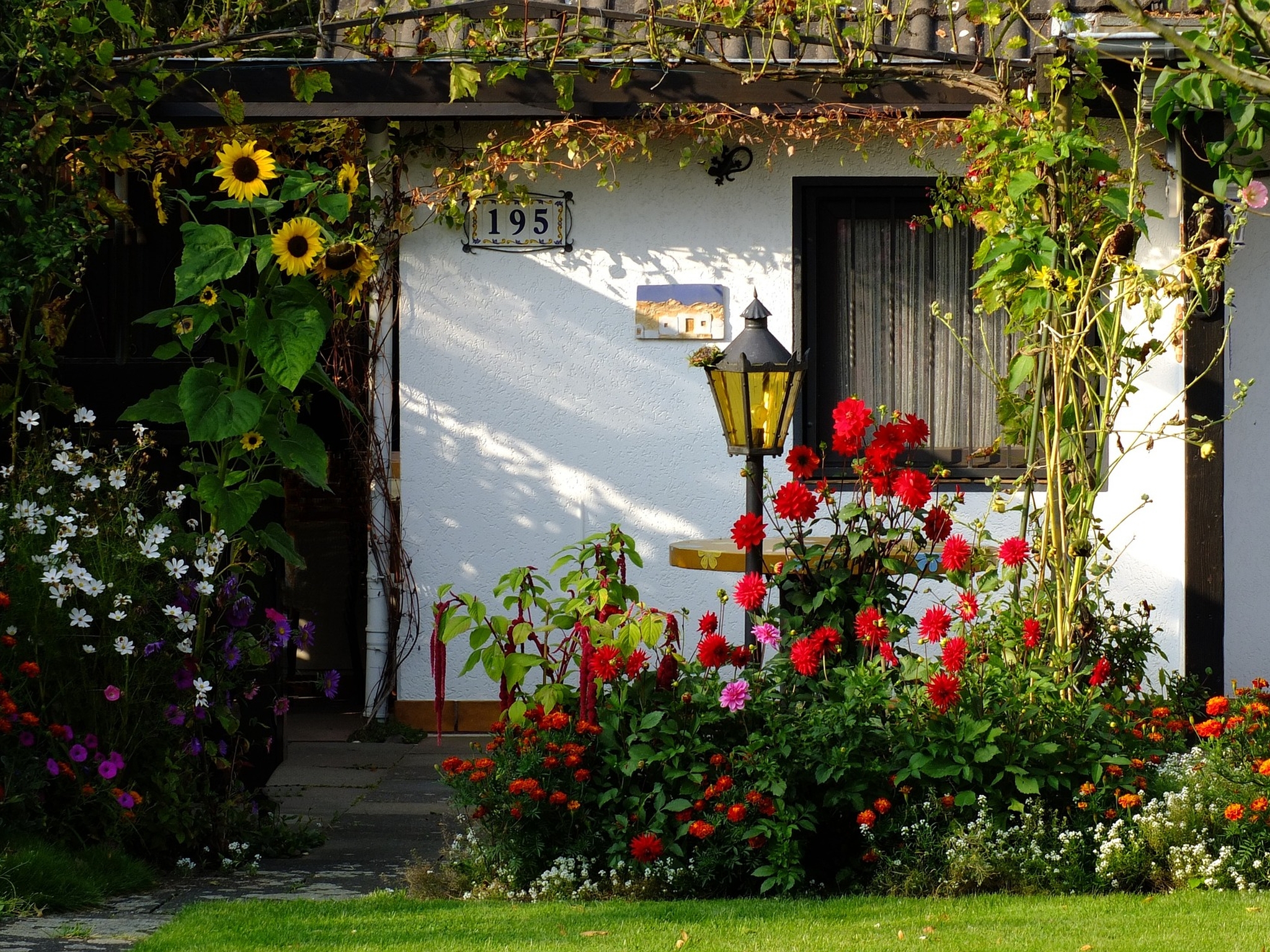 garden-1131833_1920