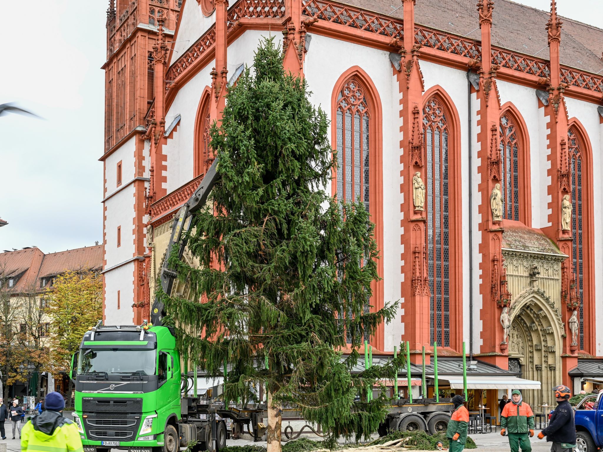 Weihnachtsbaum_Marktplatz Der große Weihnachtsbaum auf dem Marktplatz neben der Marienkapelle steht. Foto: Thomas Obermeier