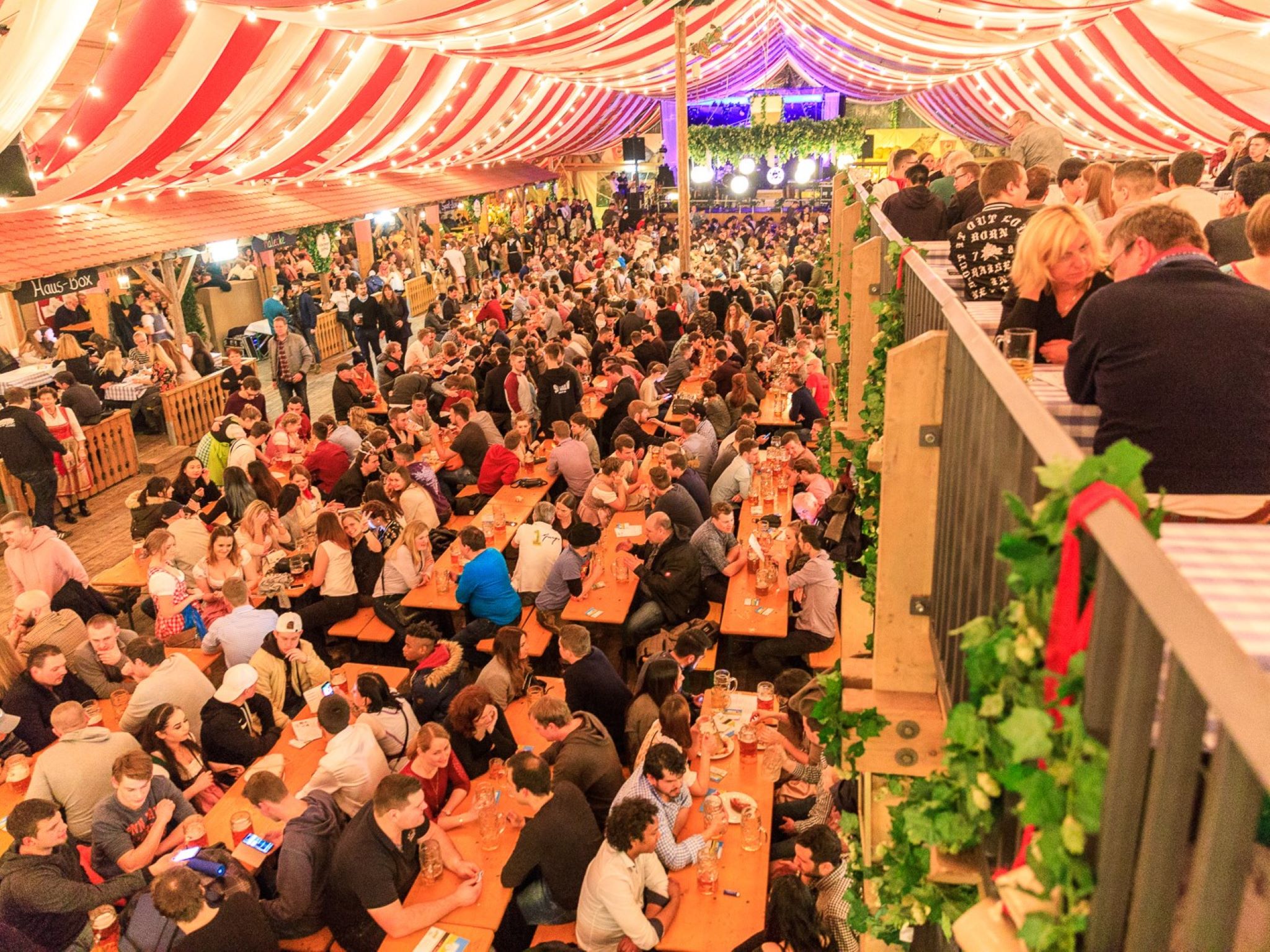 Jeden Tag ist im Hahnzelt auf dem Frühjahrsvolksfest gute Stimmung. Foto: Andreas Kneitz, webflasher.