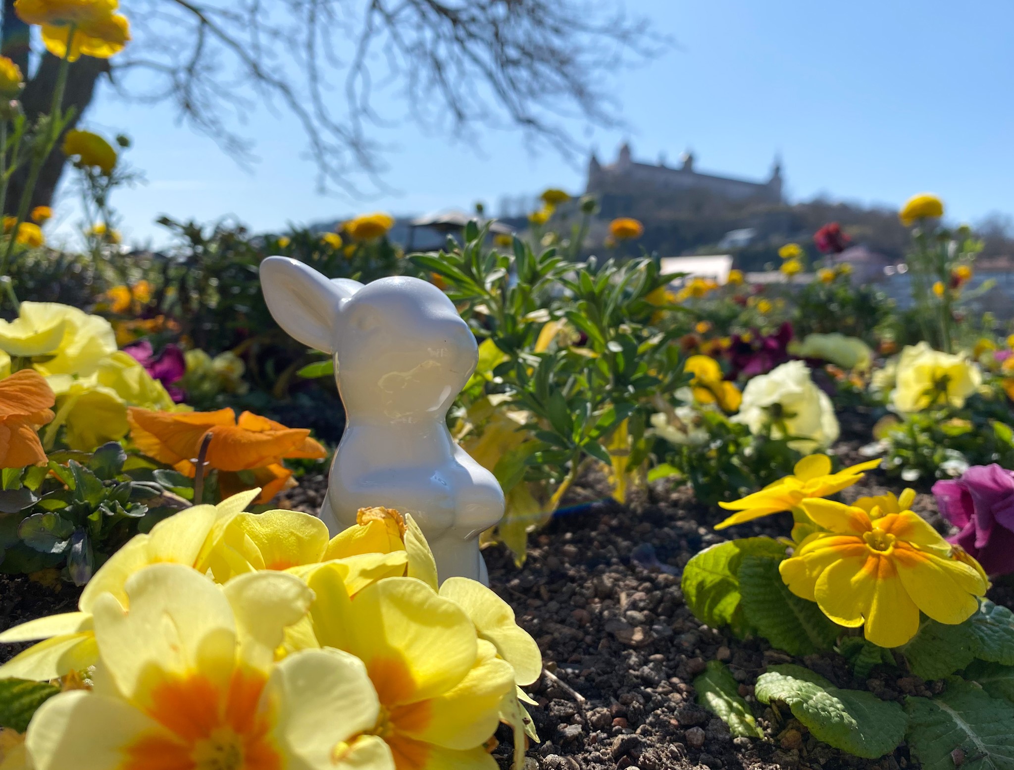 Frohe Ostern_Jessi Ostern in Würzburg. Foto: Jessica Weiß
