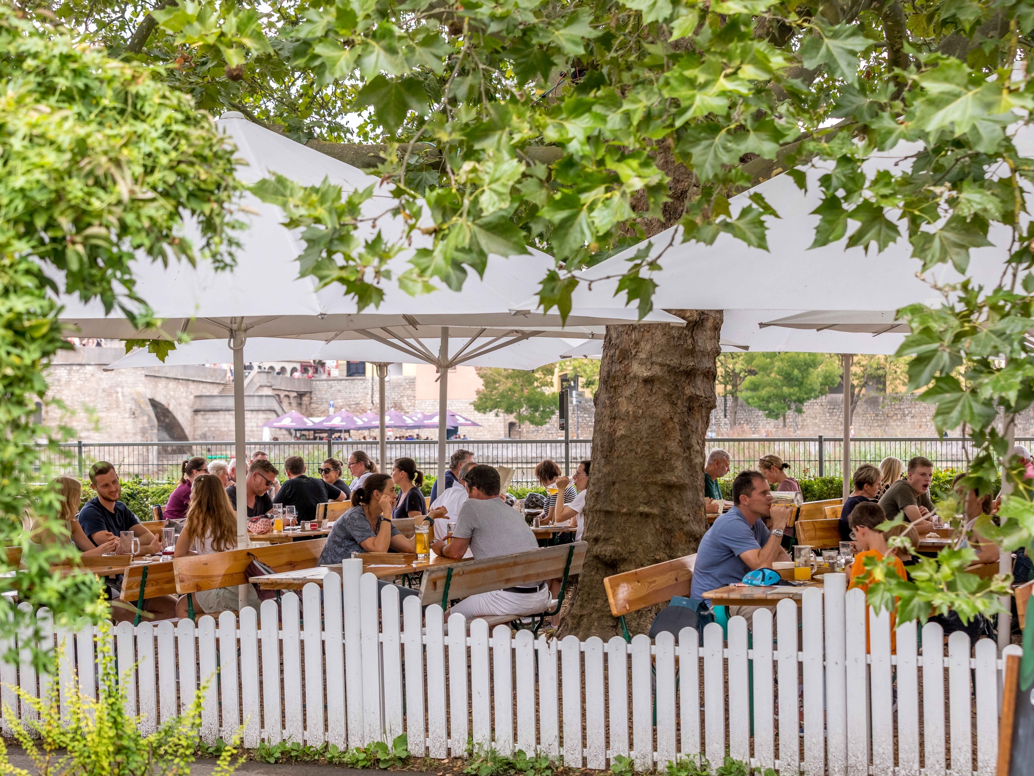 Der Biergarten Goldene Gans am linken Mainufer in Würzburg besticht vor allem mit seinem selbstgebrauten Bier. Foto: Patty Varasano