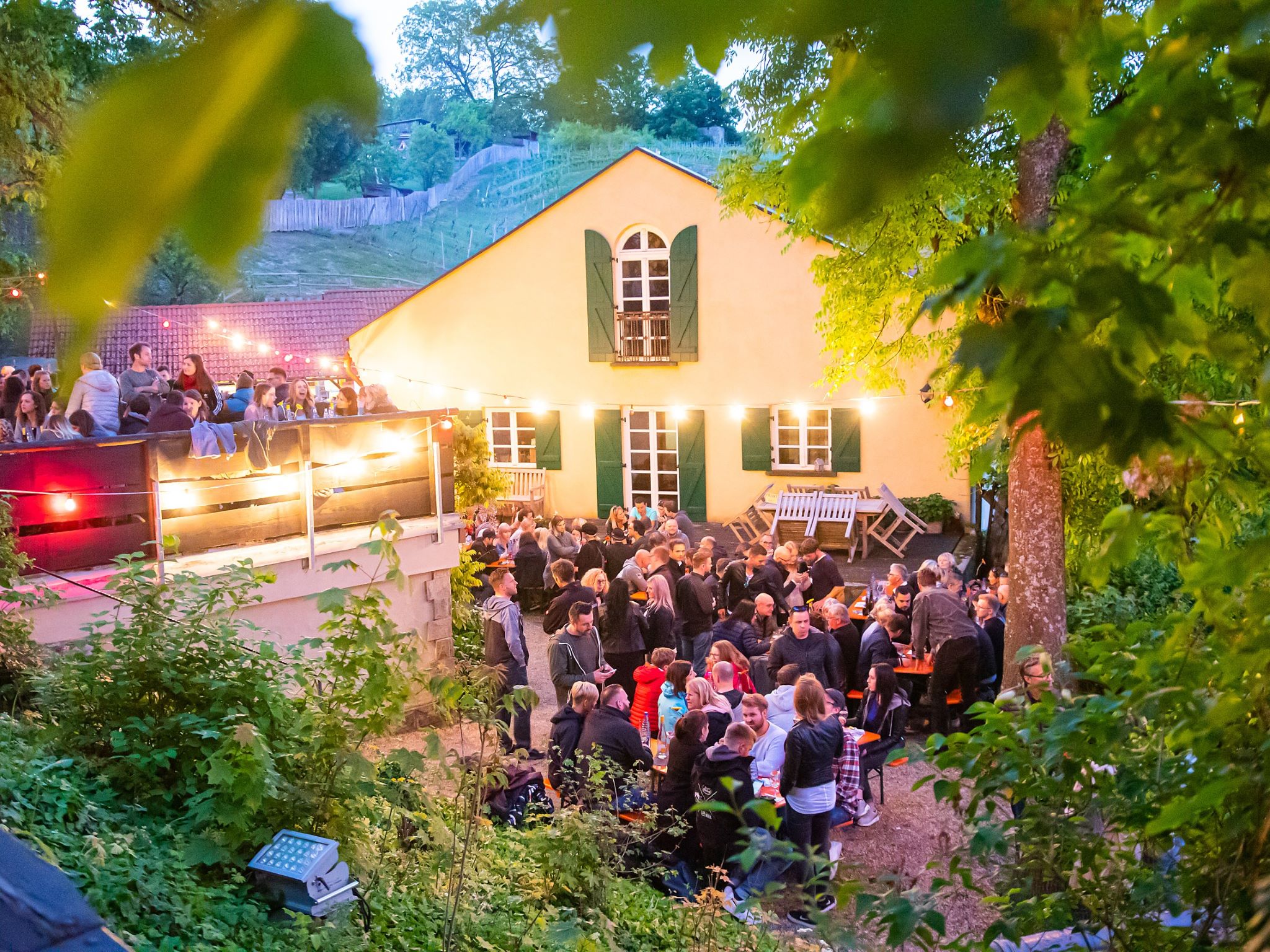 Weinfest an der Peterstirn. Foto: Silvia Gralla