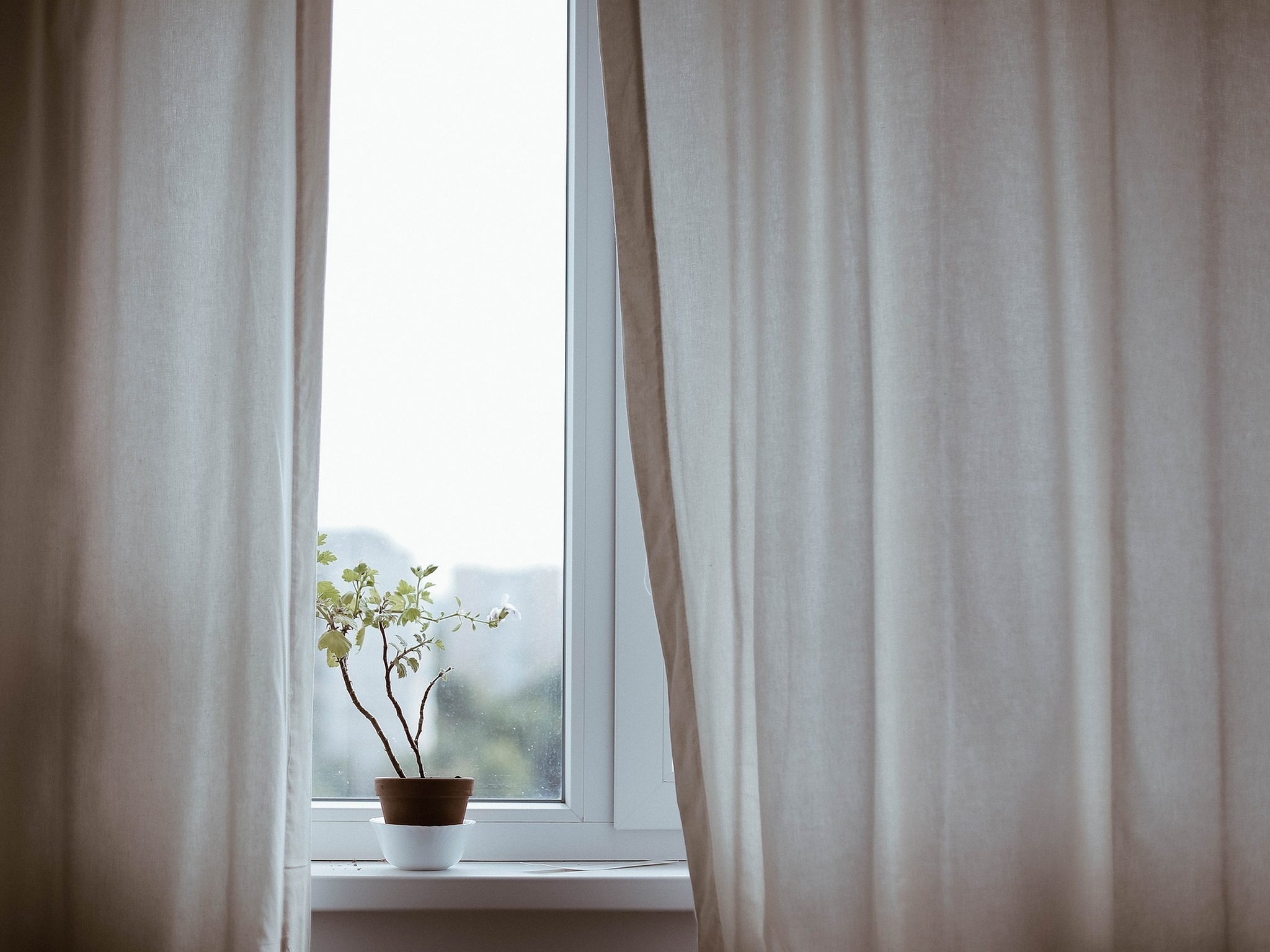 curtains-1854110_1920
