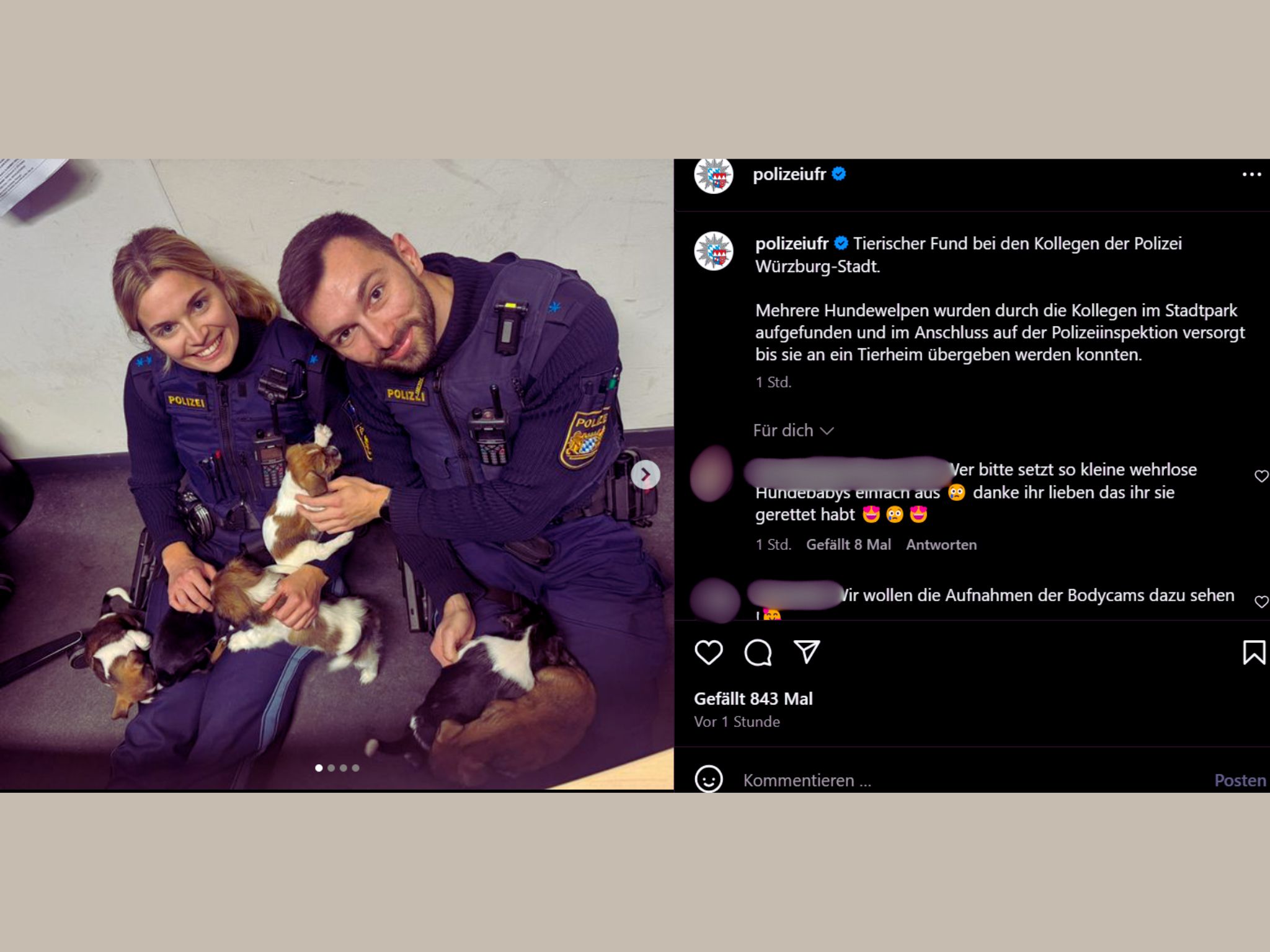 Hundewelpen_PPUf Im Würzburger Stadtpark wurden mehrere Hundewelpen gefunden. Foto: Screenshot Instagram / @polizeiufr