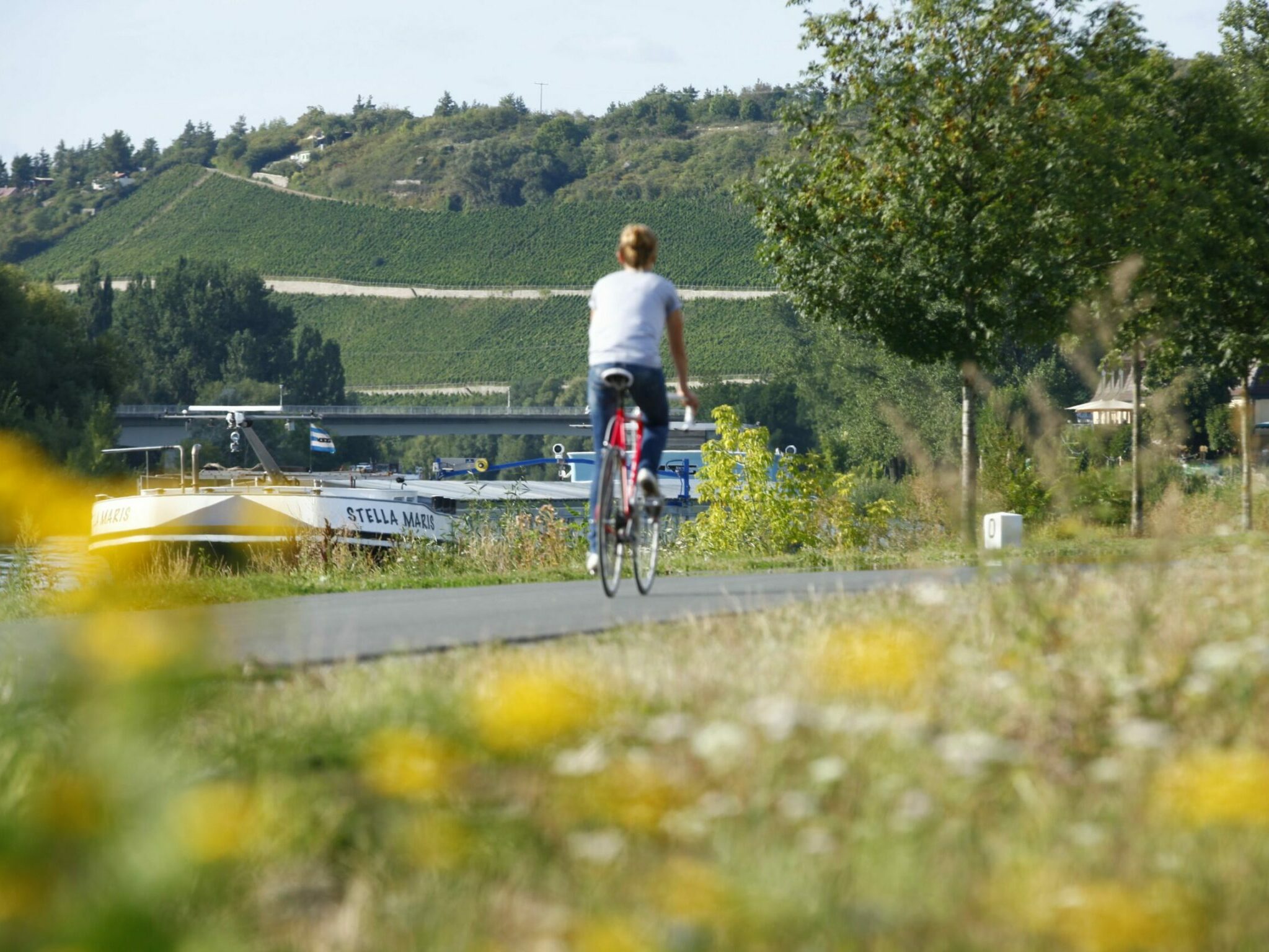 Binnenschiffffahrt auf dem Main