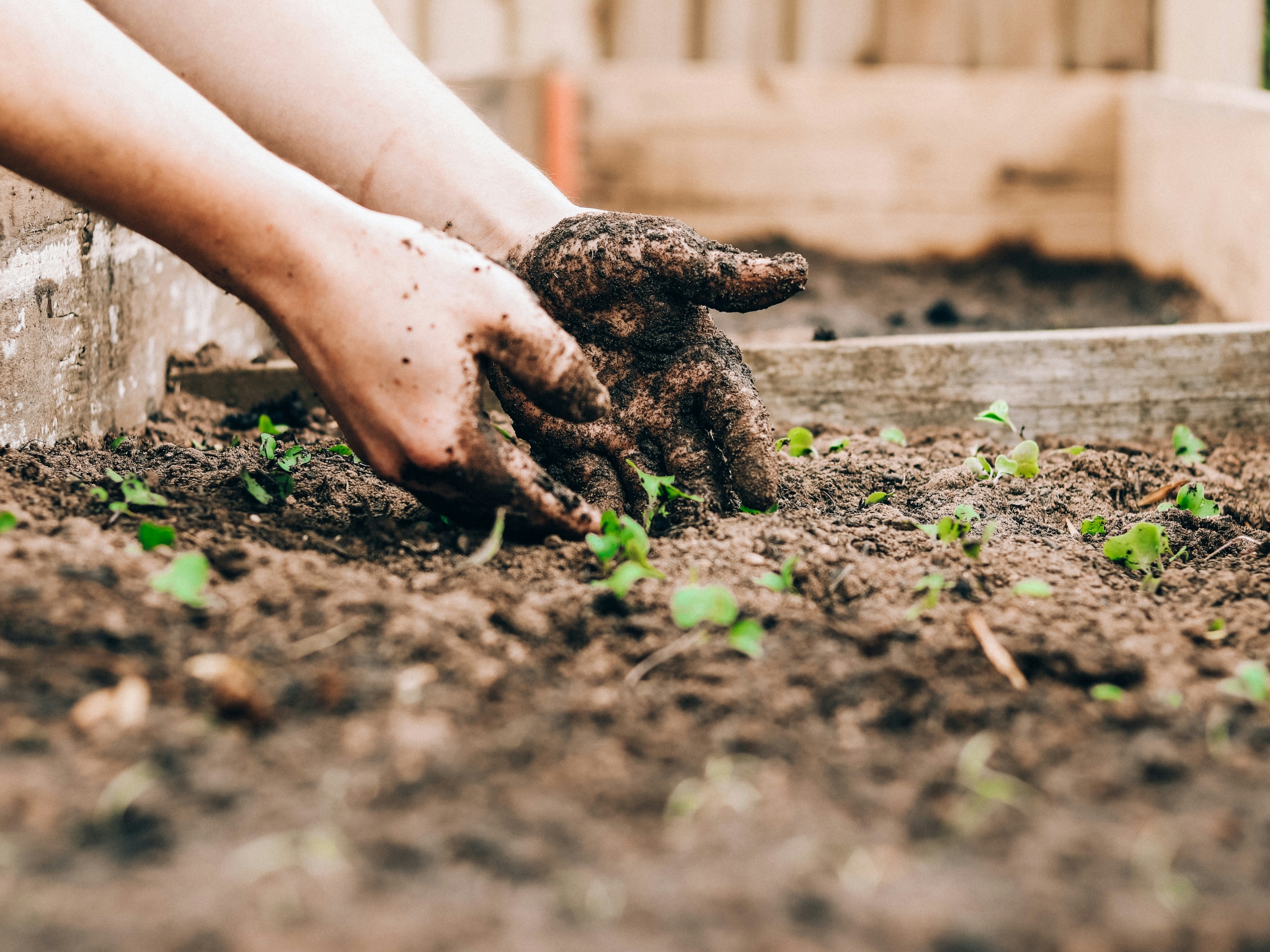 sandie-clarke-q13Zq1Jufks-unsplash Gärtnerarbeiten im Beet