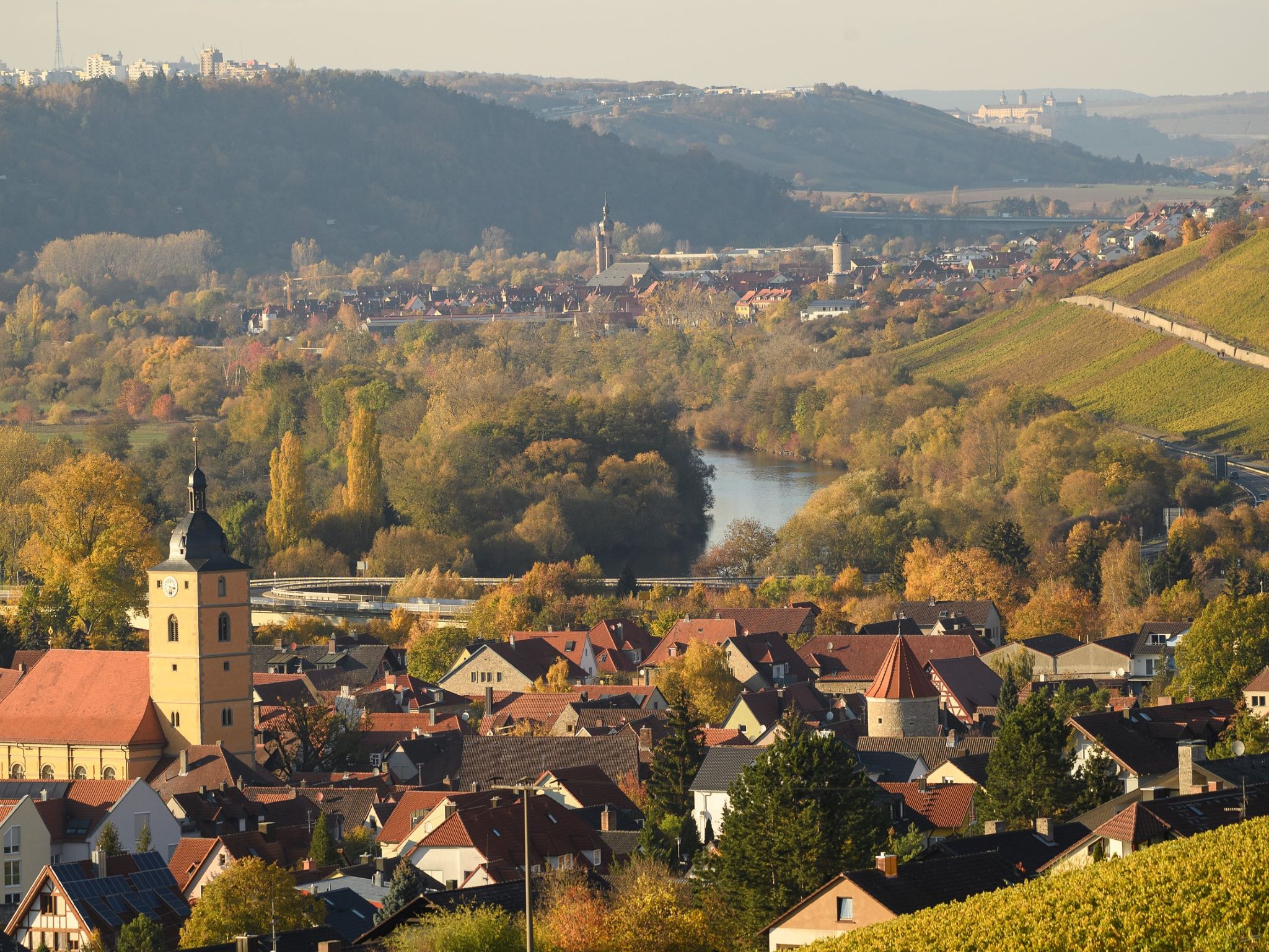 Blick durch die herbstlich gefärbten Weinberge in Sommerhausen auf das Maintal in Richtung Würzburg am Donnerstag (01.11.18). Foto: Daniel Peter