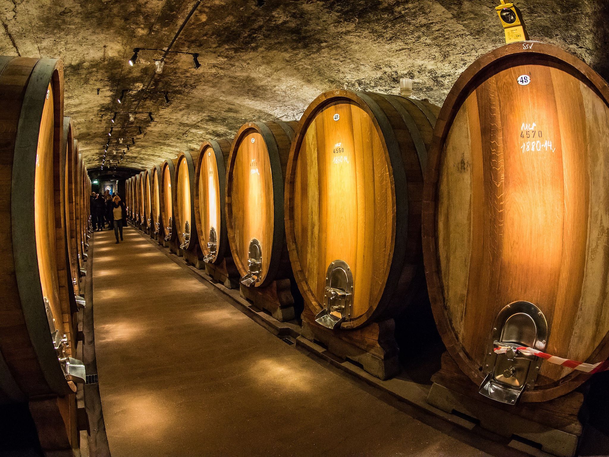250 Meter ist der Keller im Weingut Juliusspital lang Foto: Silvia Gralla