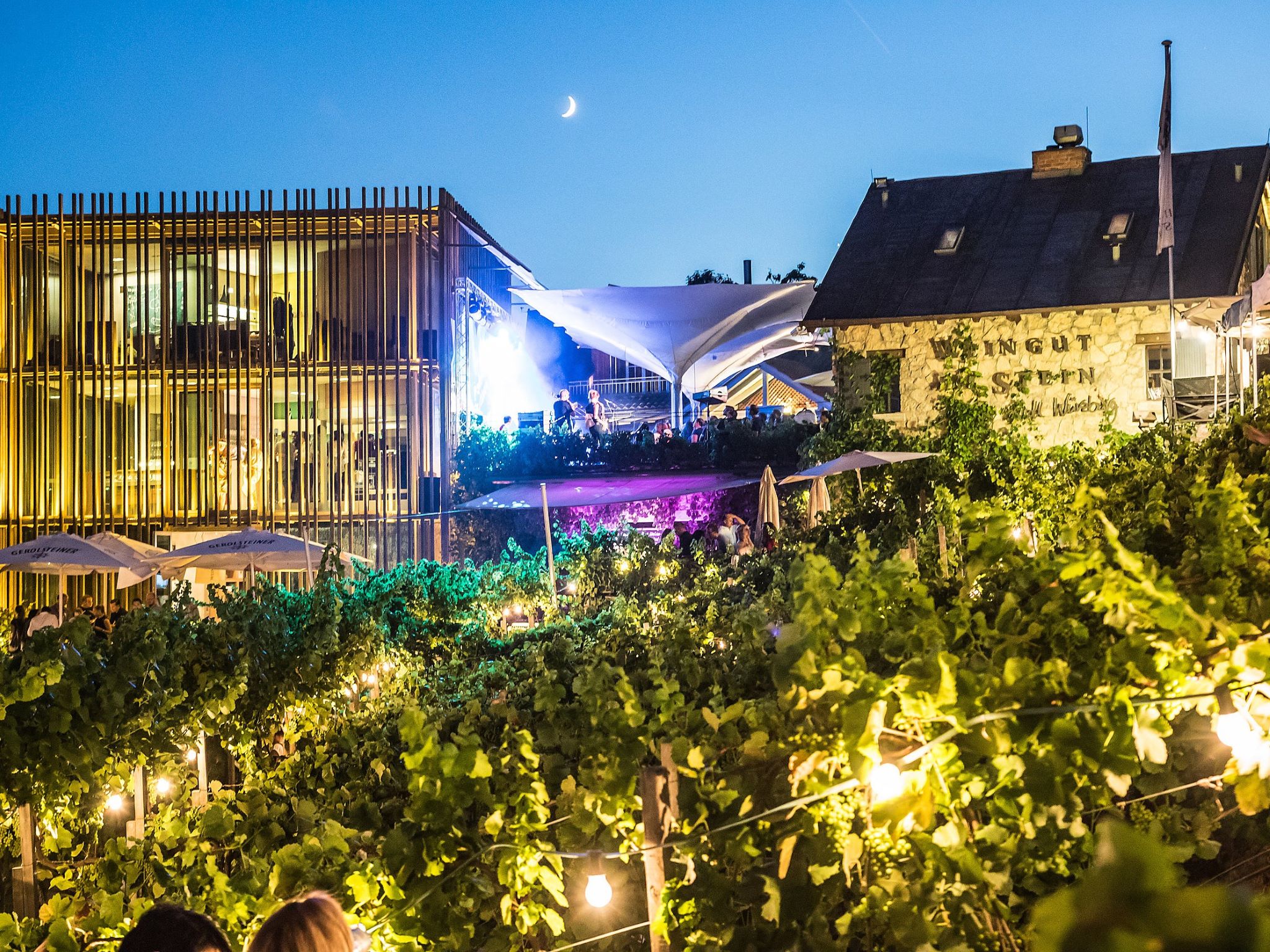 Das Weinfest am Stein überzeugt mit einer stimmungsvollen Kulisse inmitten von Weinreben. Foto: Silvia Gralla